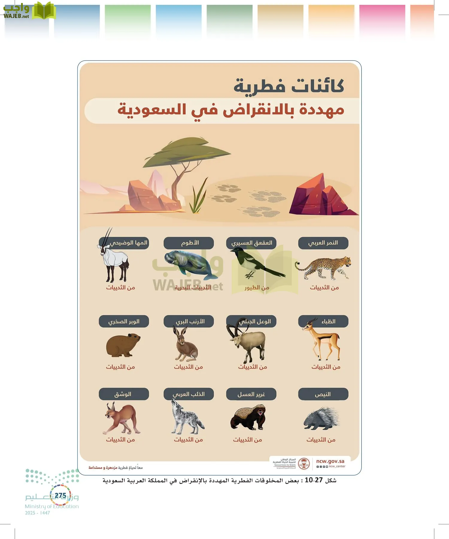 التنمية المستدامة-المجال الاختياري page-274