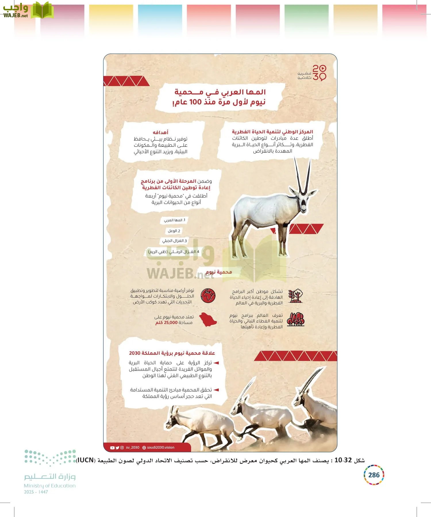 التنمية المستدامة-المجال الاختياري page-285