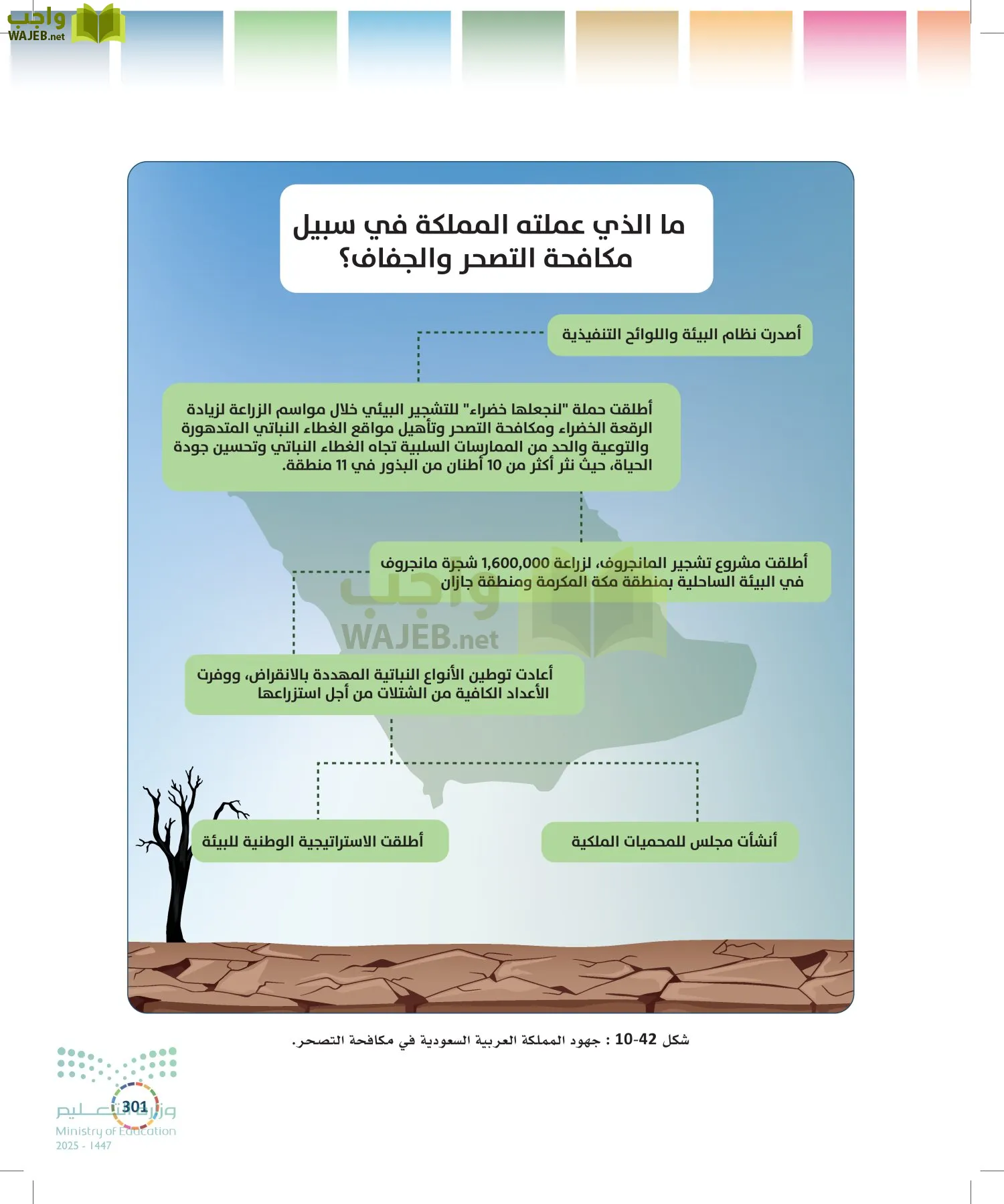 التنمية المستدامة-المجال الاختياري page-300