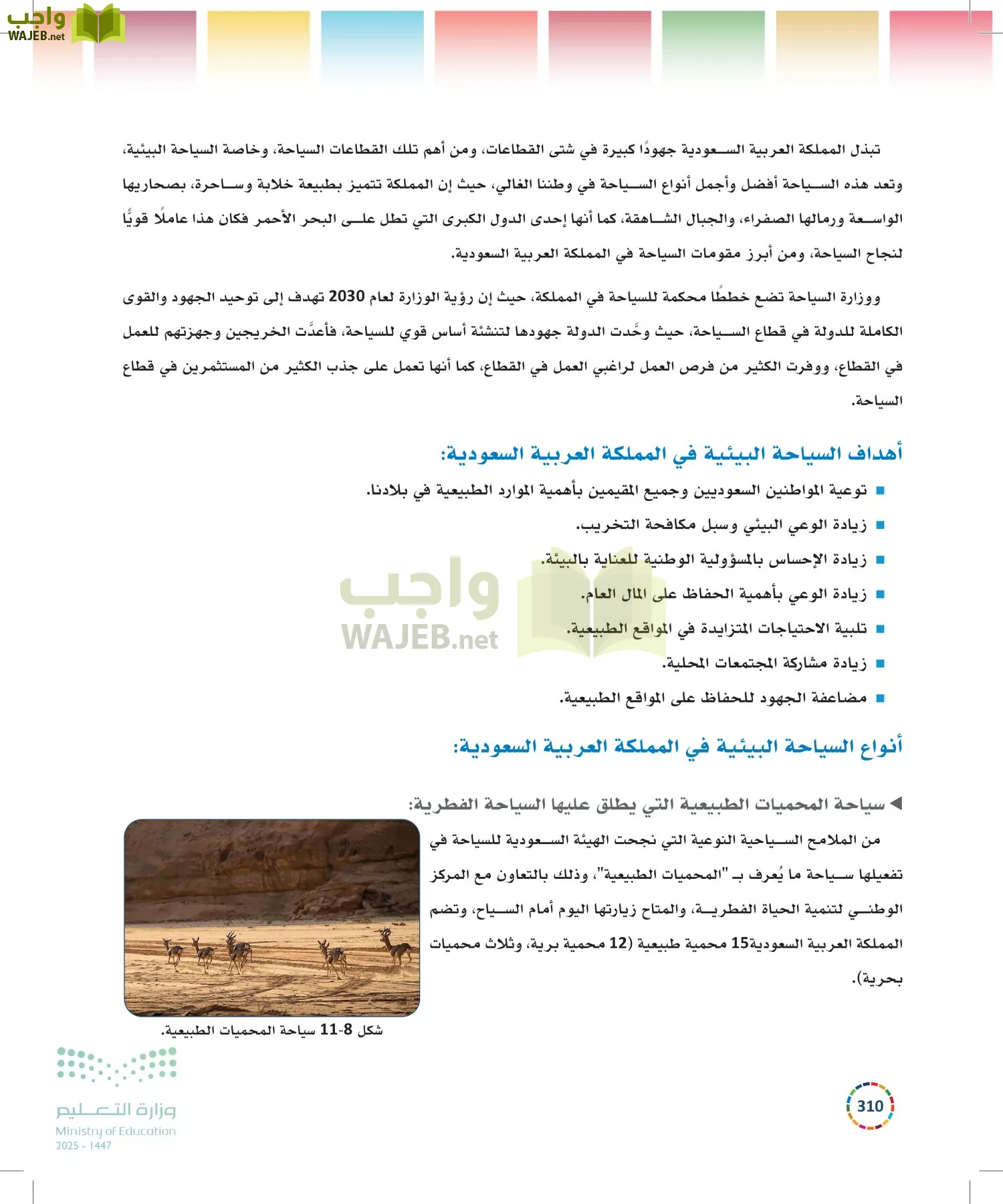 التنمية المستدامة-المجال الاختياري page-309