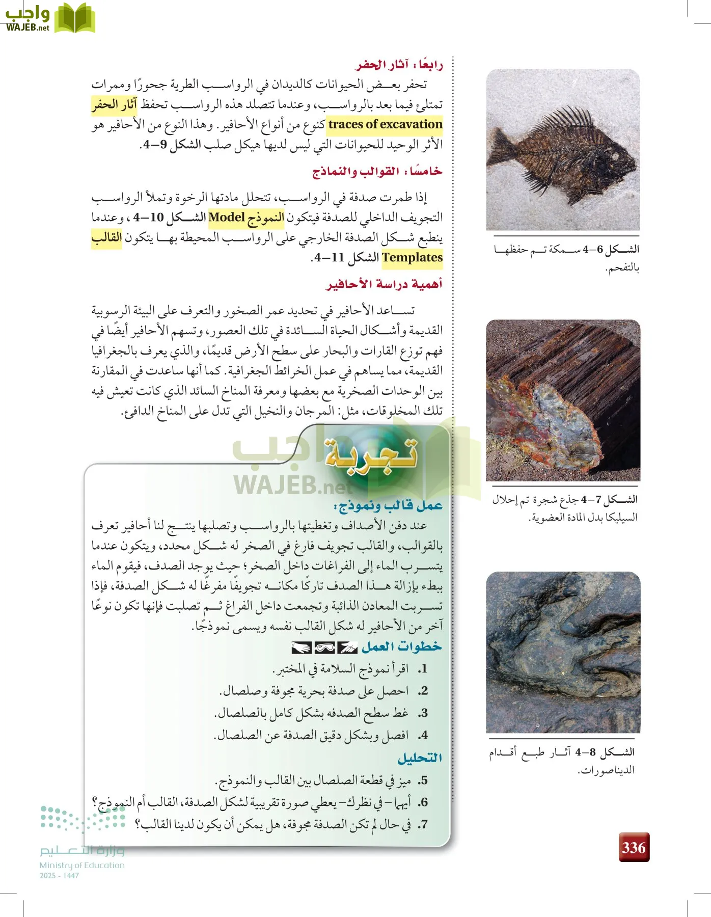 علوم الأرض و الفضاء page-335