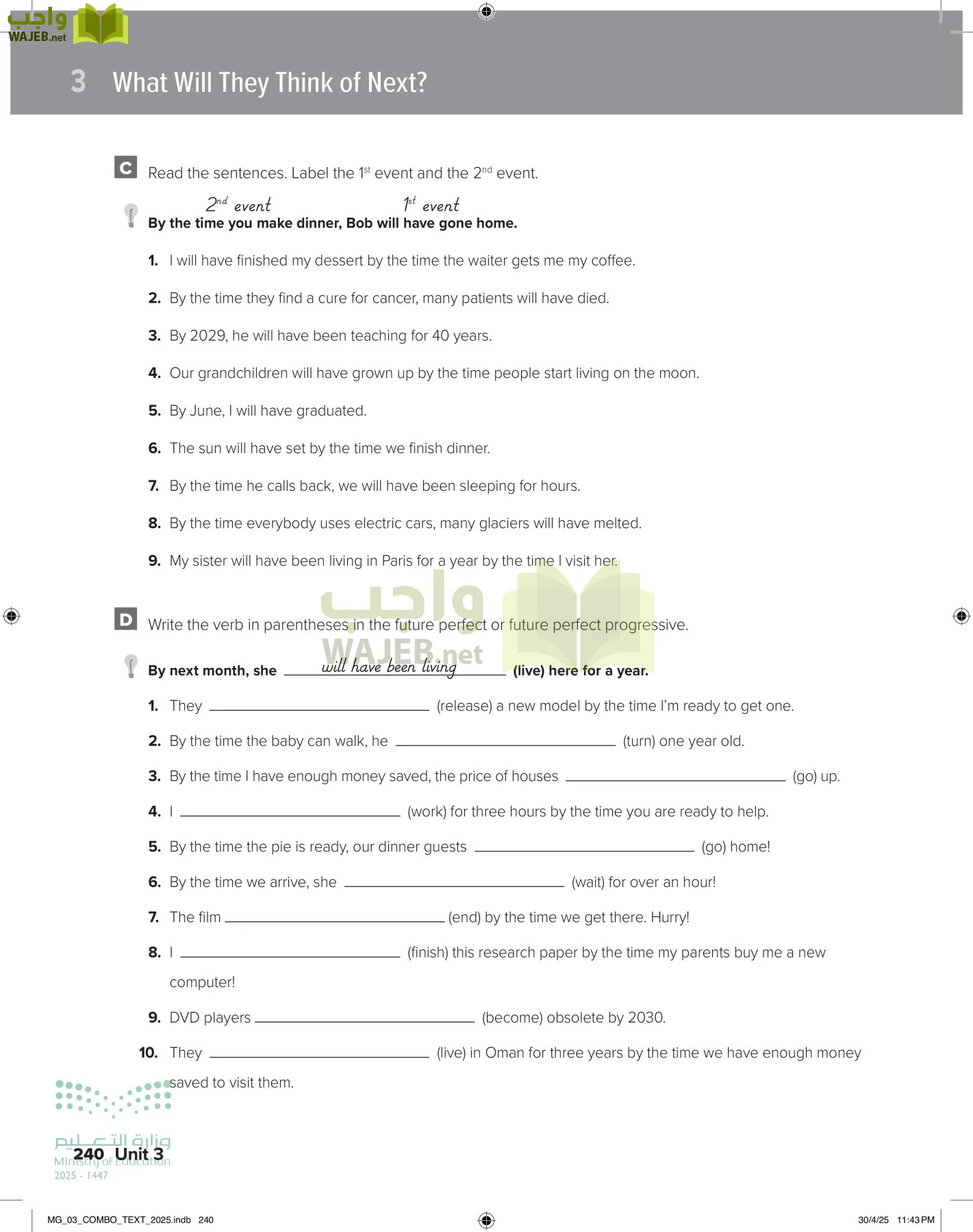 MEGA GOAL 3 page-245