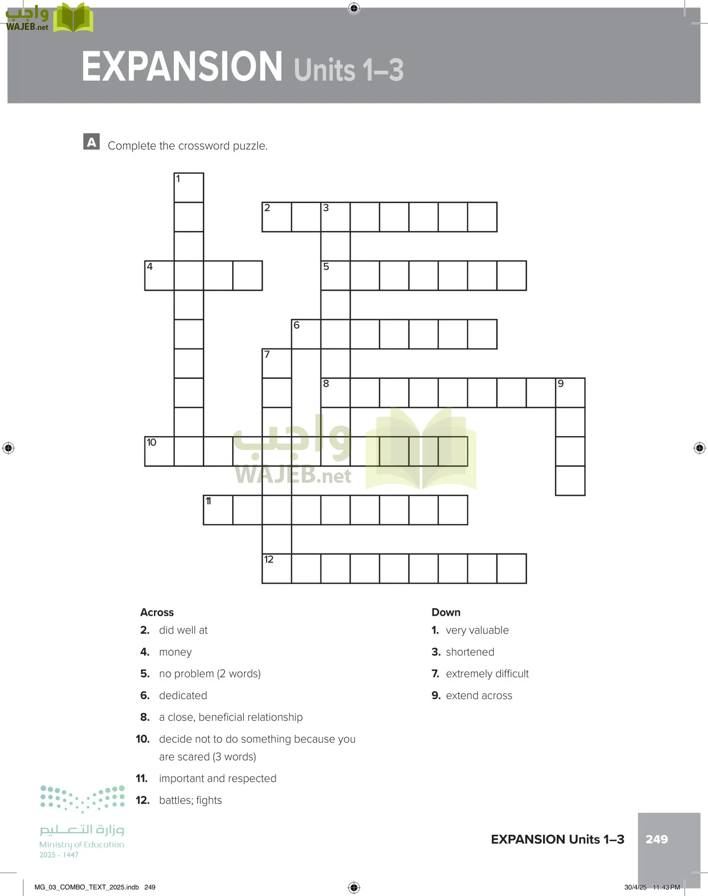 MEGA GOAL 3 page-254