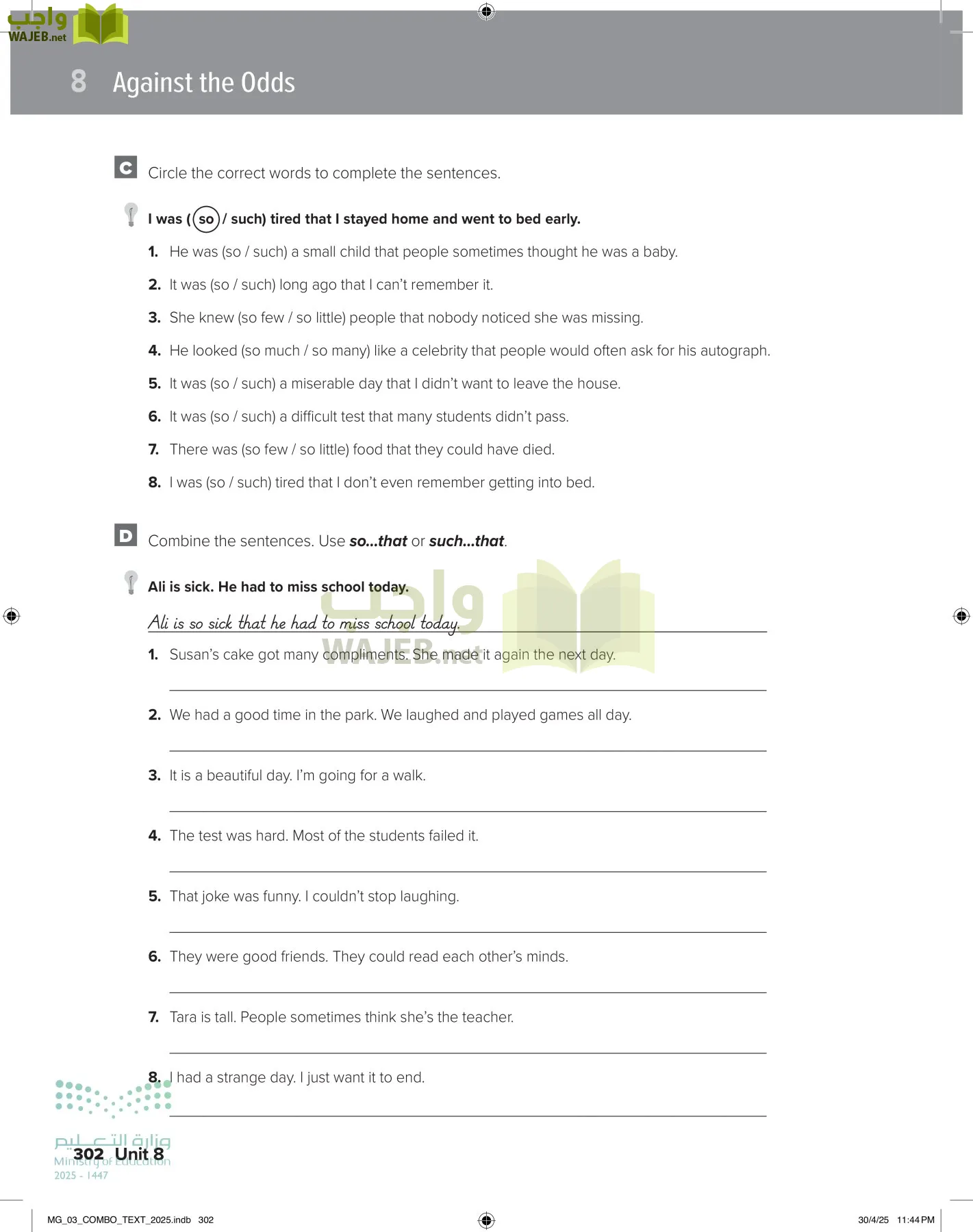 MEGA GOAL 3 page-307