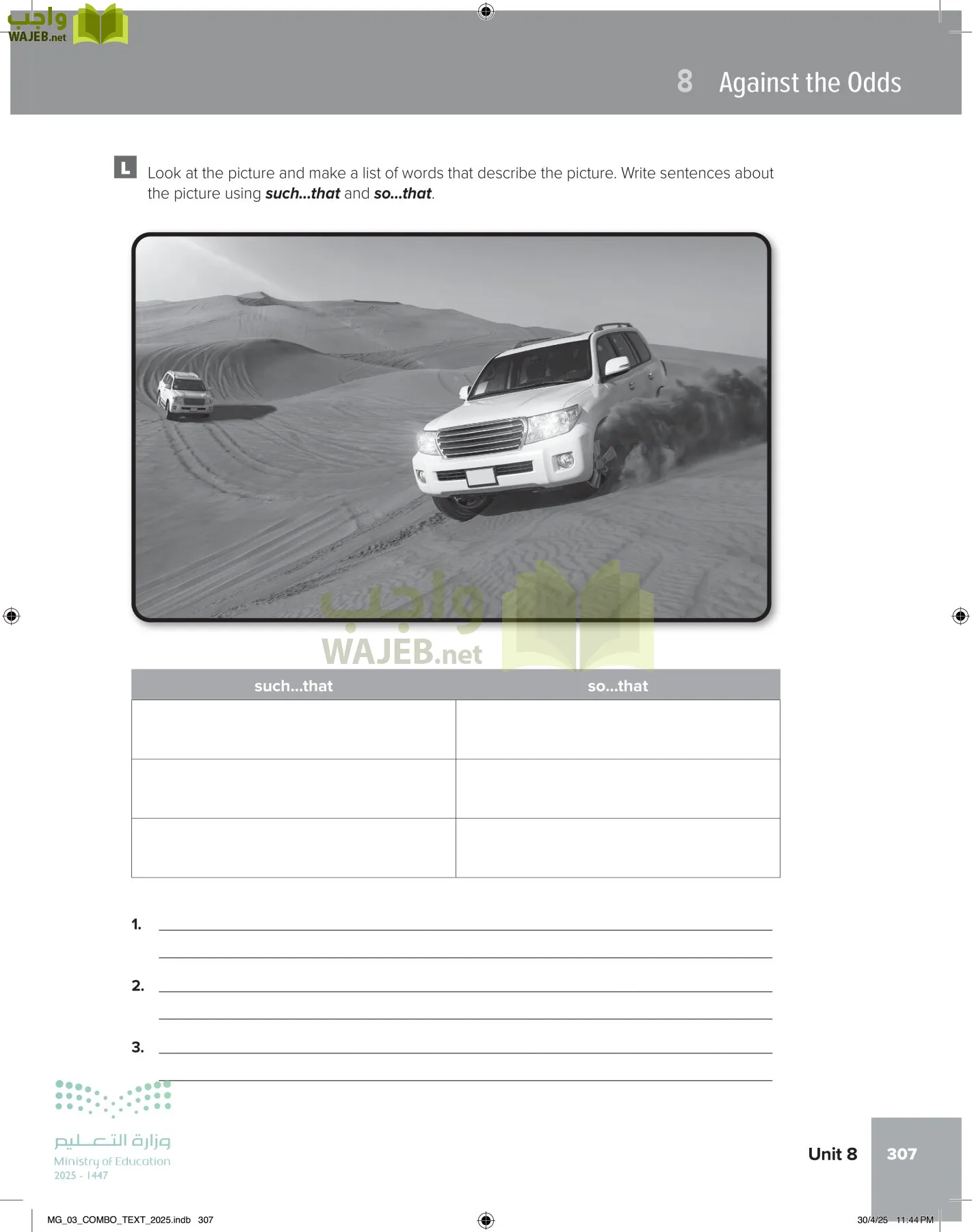 MEGA GOAL 3 page-312