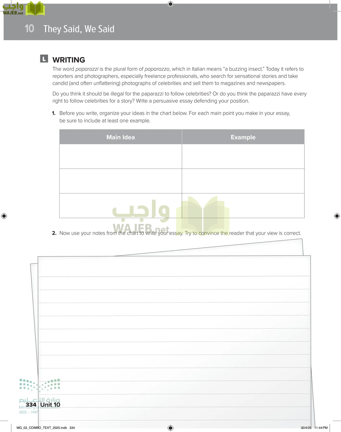 MEGA GOAL 3 page-339