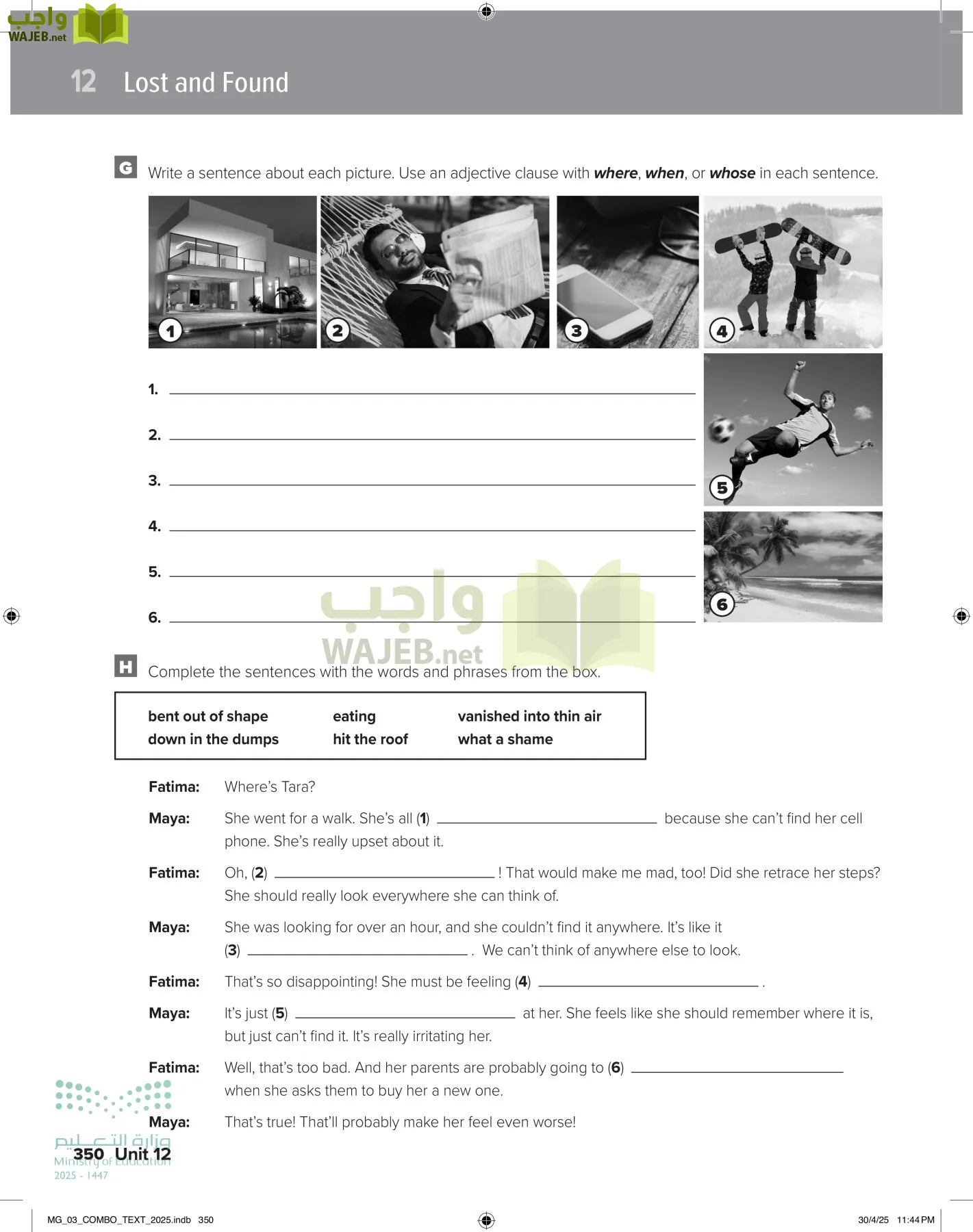 MEGA GOAL 3 page-355