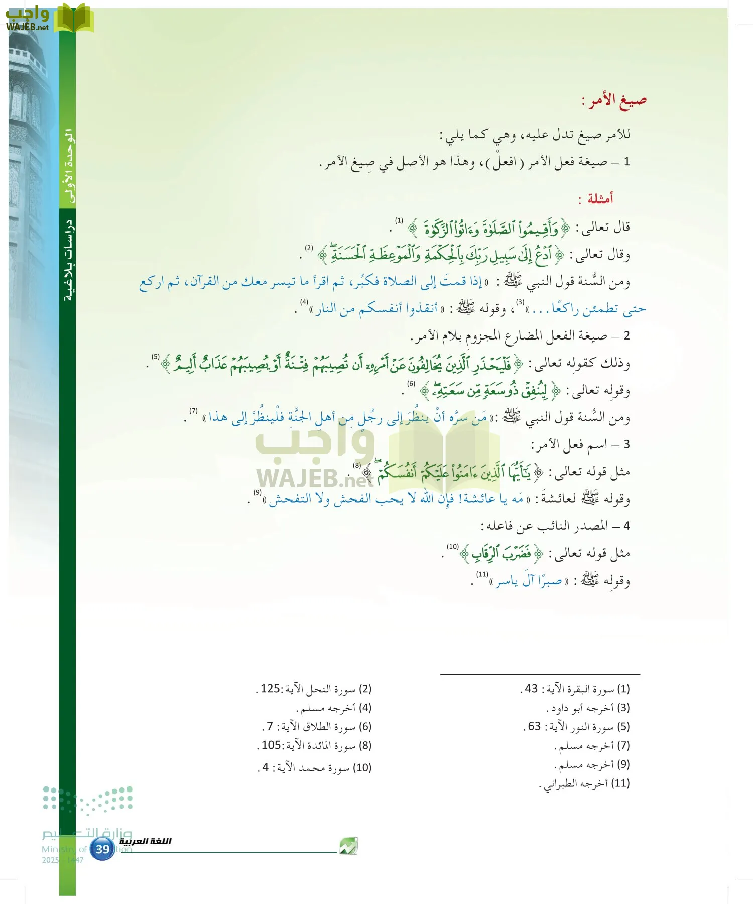 الدراسات البلاغية والنقدية page-38