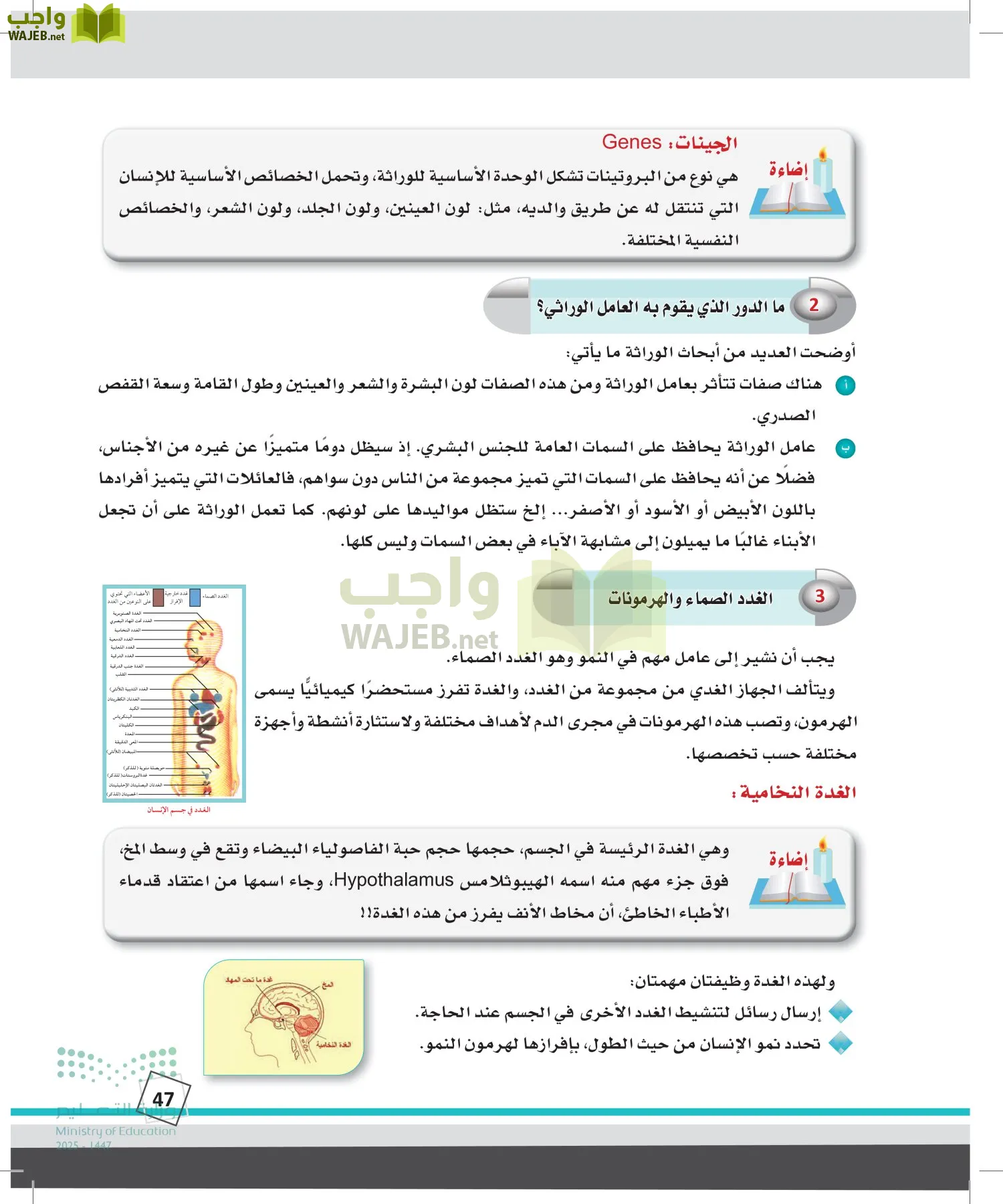 الدراسات النفسية والأجتماعية page-46