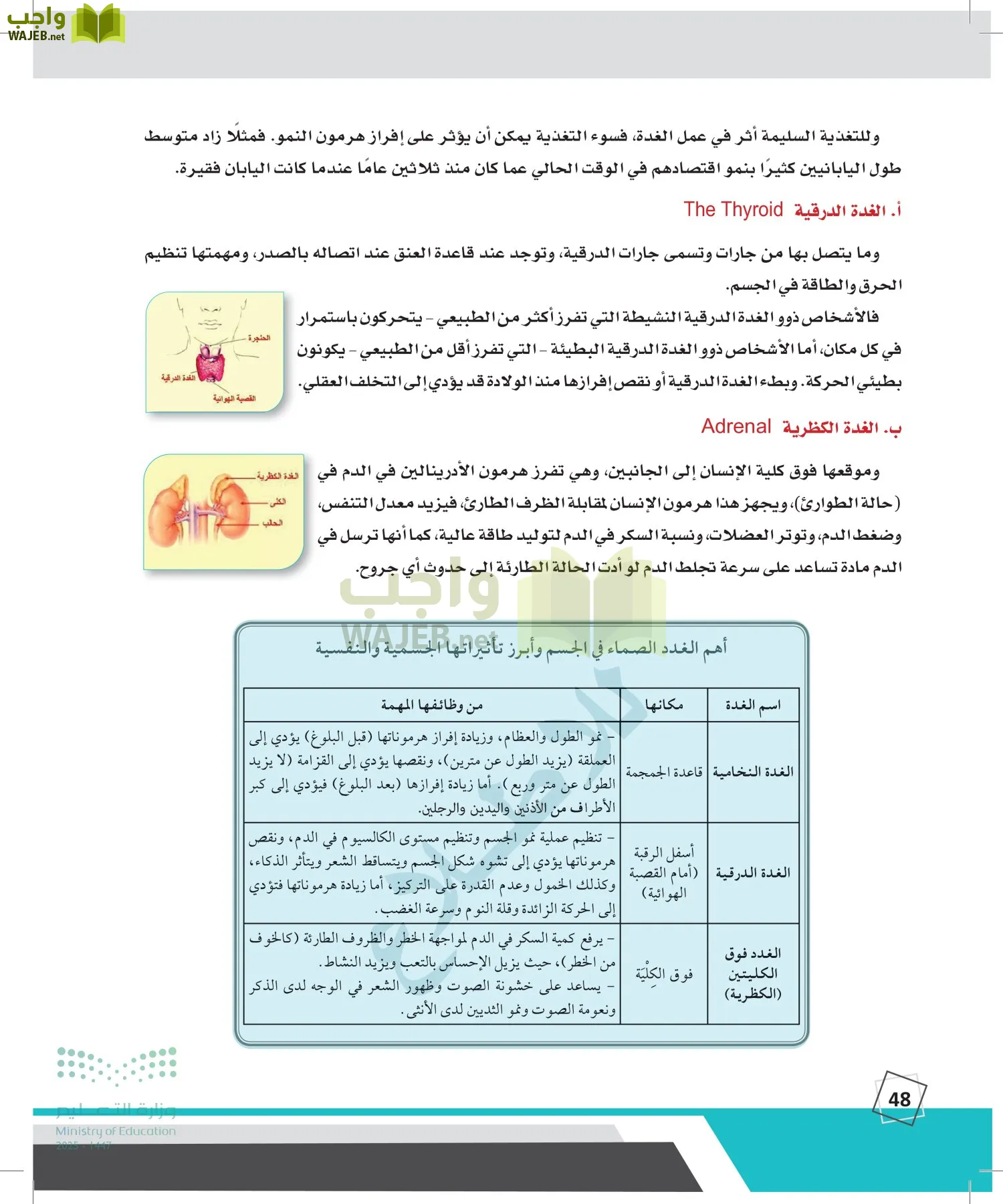 الدراسات النفسية والأجتماعية page-47