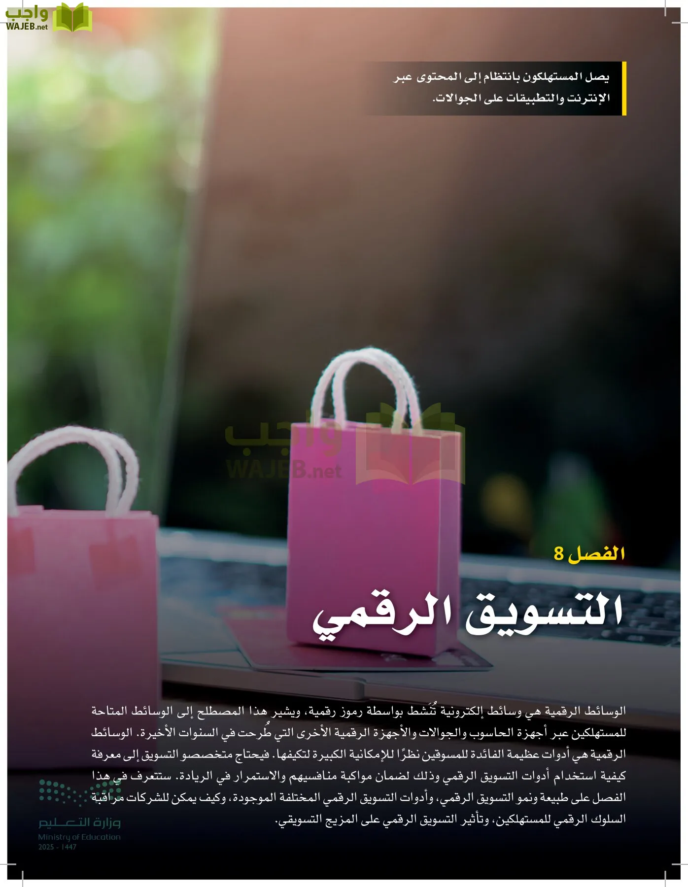 تخطيط الحملات التسويقية page-383