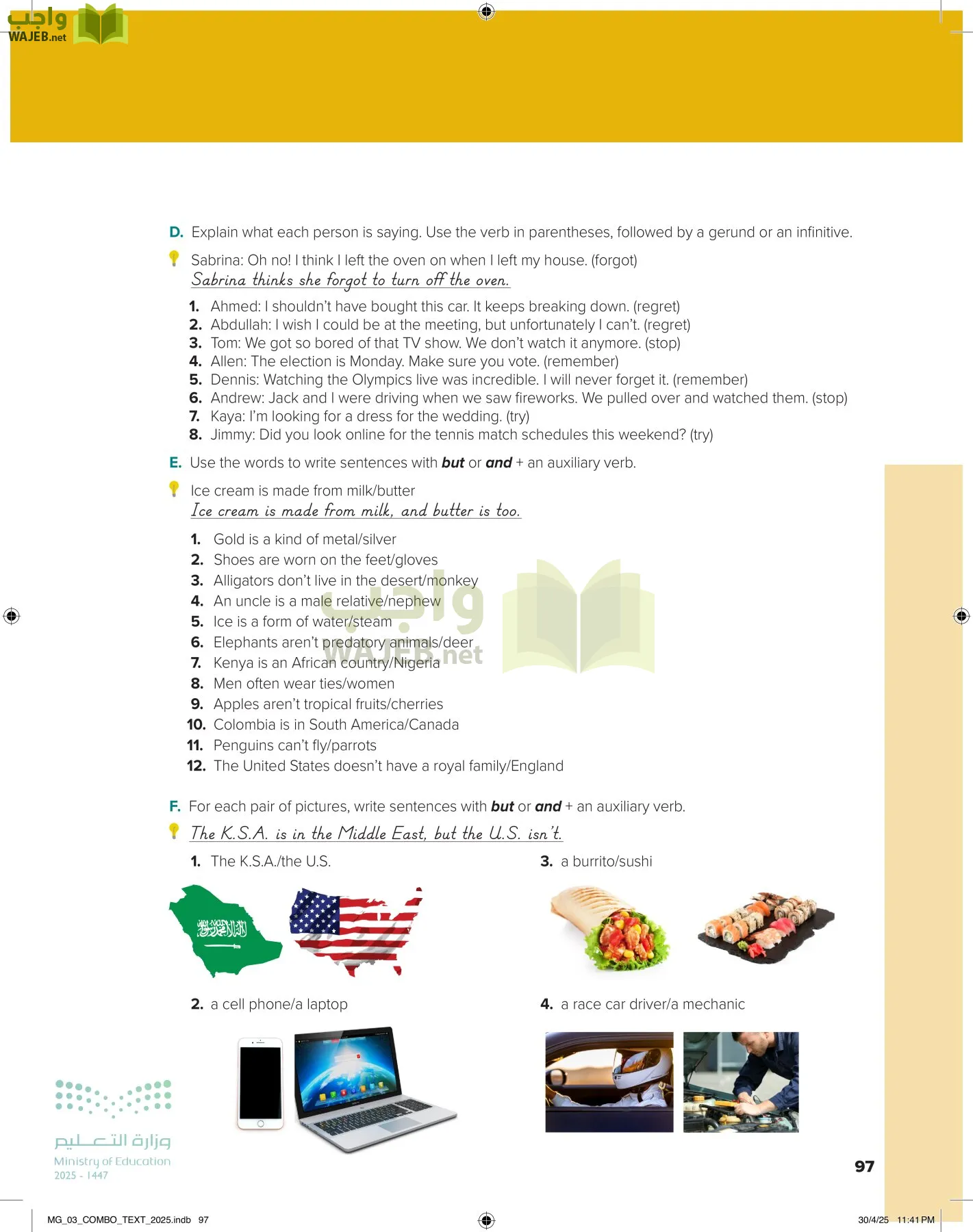 MEGA GOAL 3 page-102