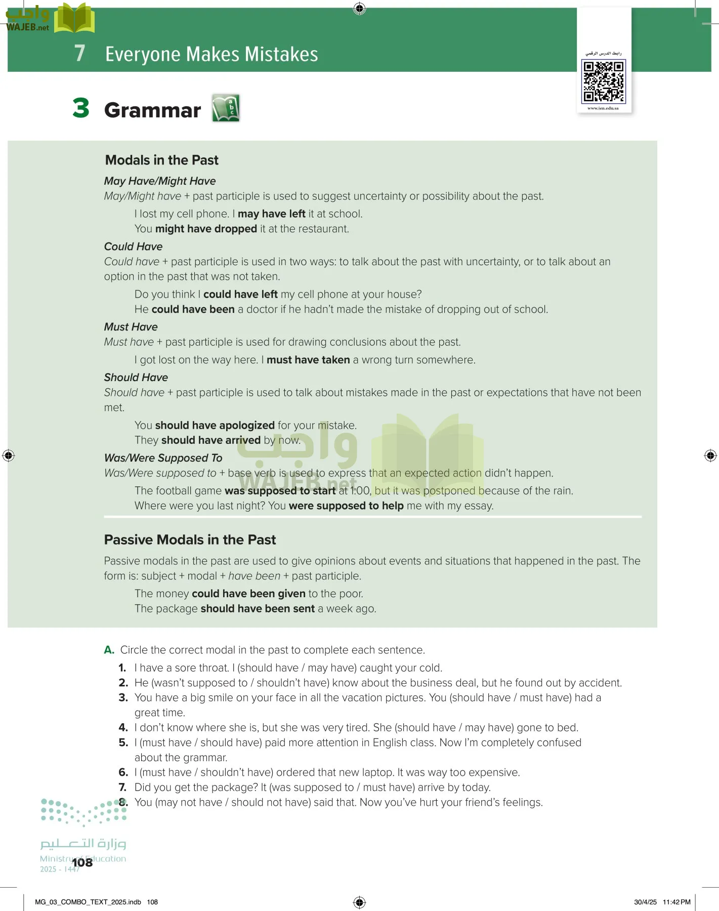 MEGA GOAL 3 page-113