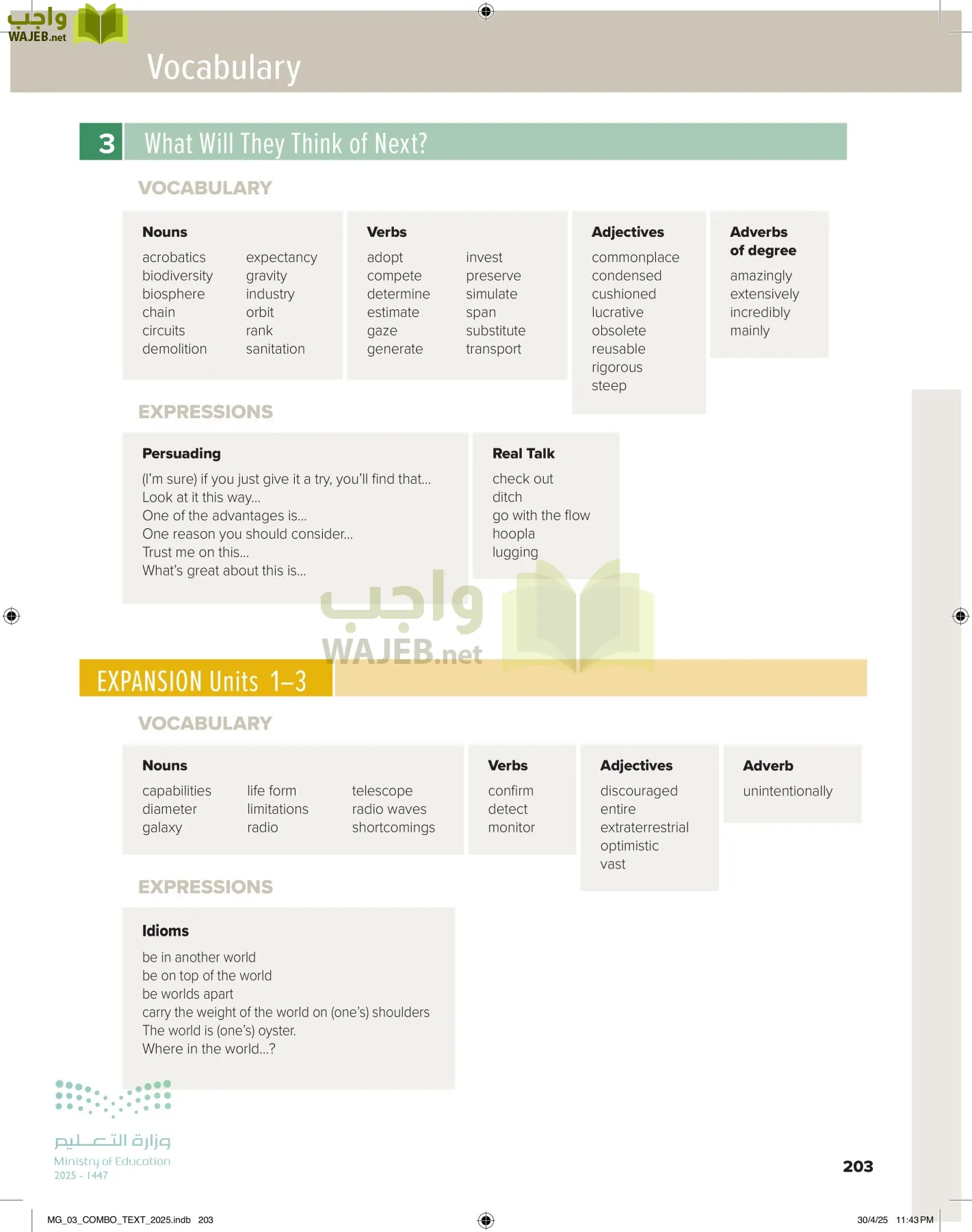 MEGA GOAL 3 page-208