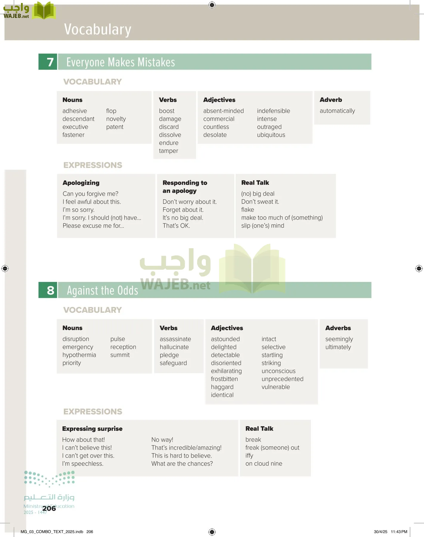 MEGA GOAL 3 page-211