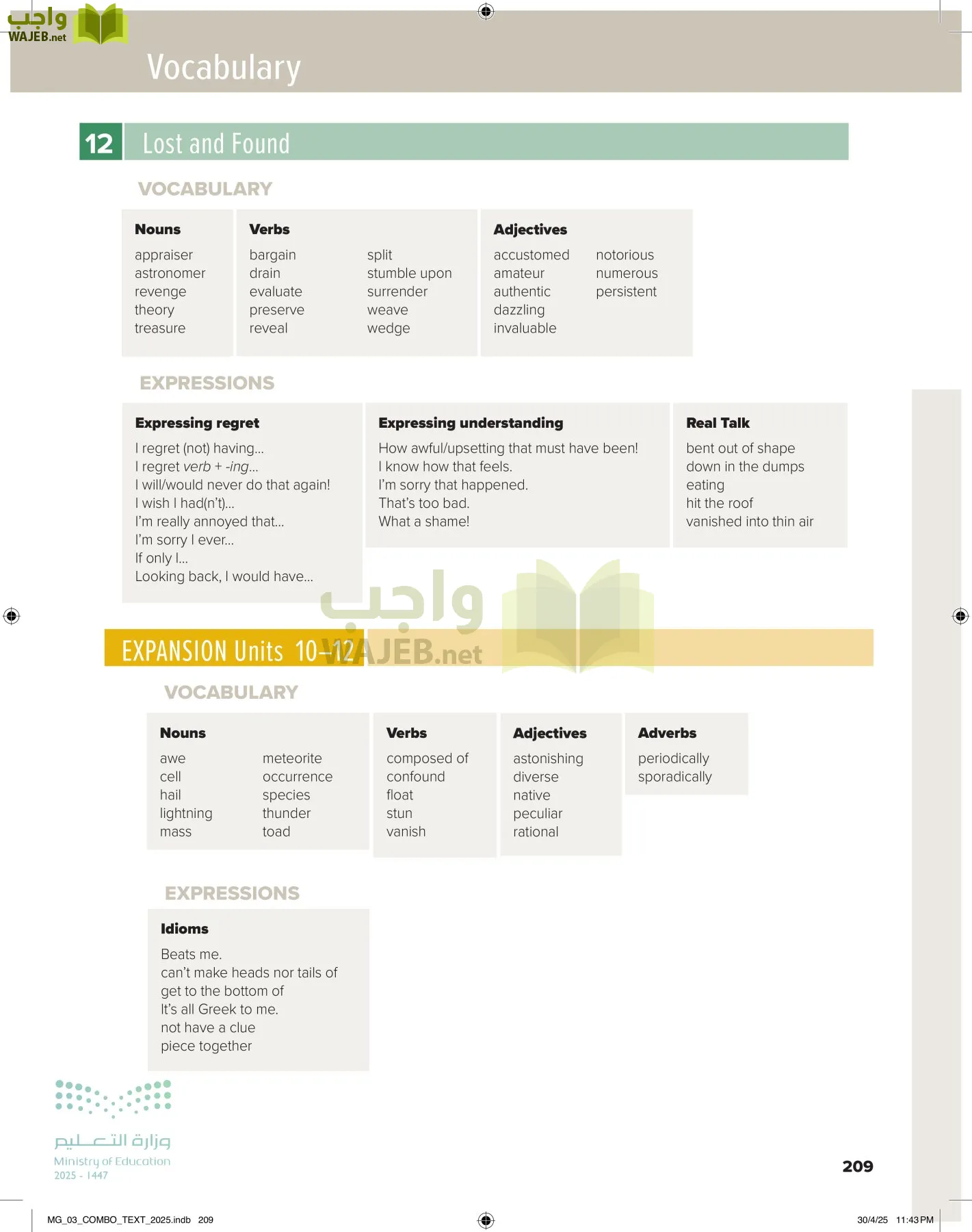 MEGA GOAL 3 page-214