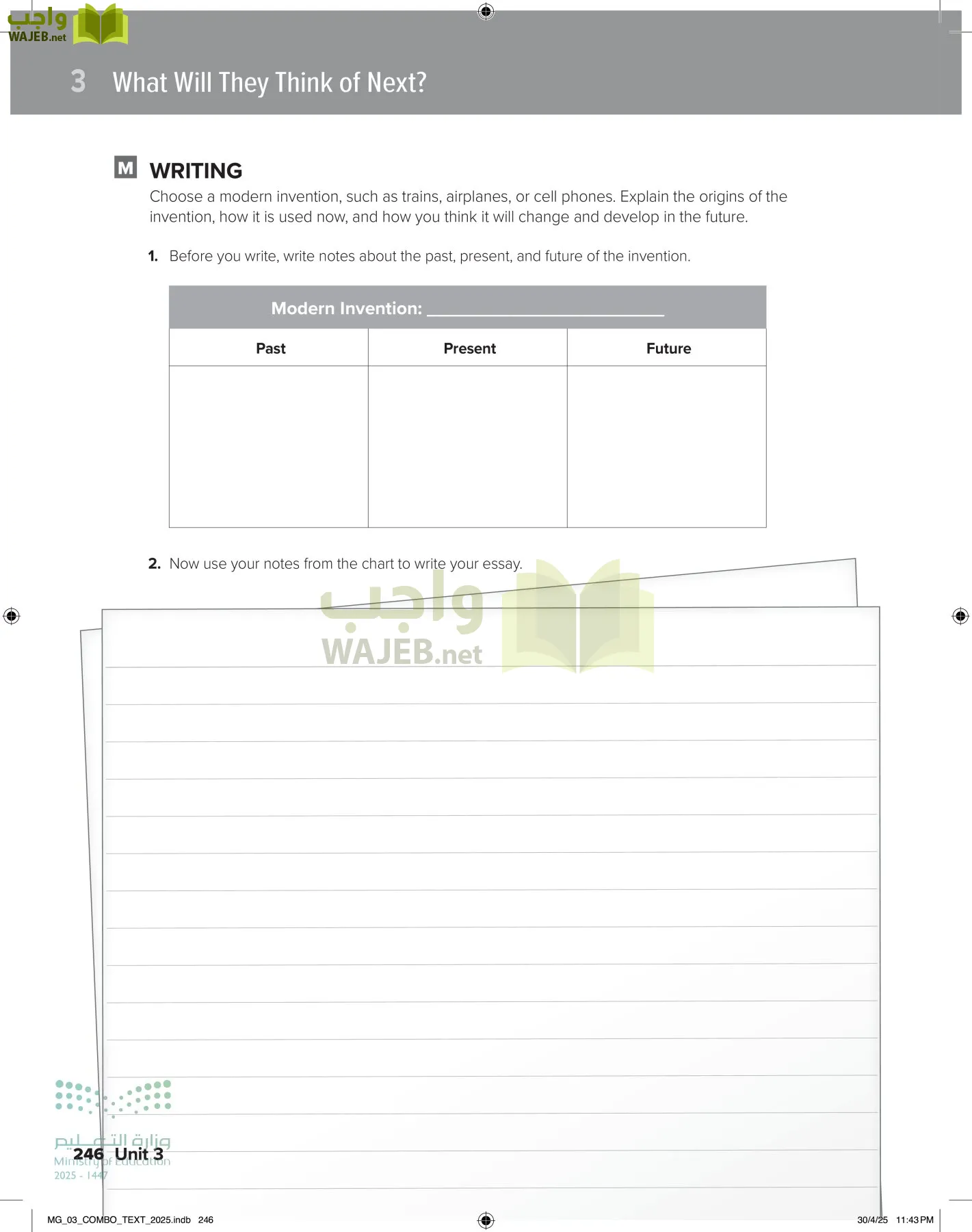 MEGA GOAL 3 page-251