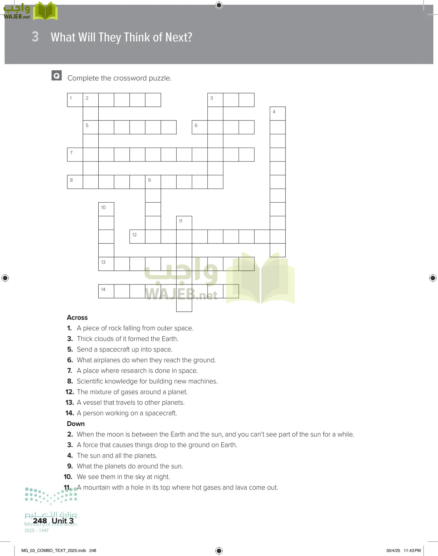 MEGA GOAL 3 page-253