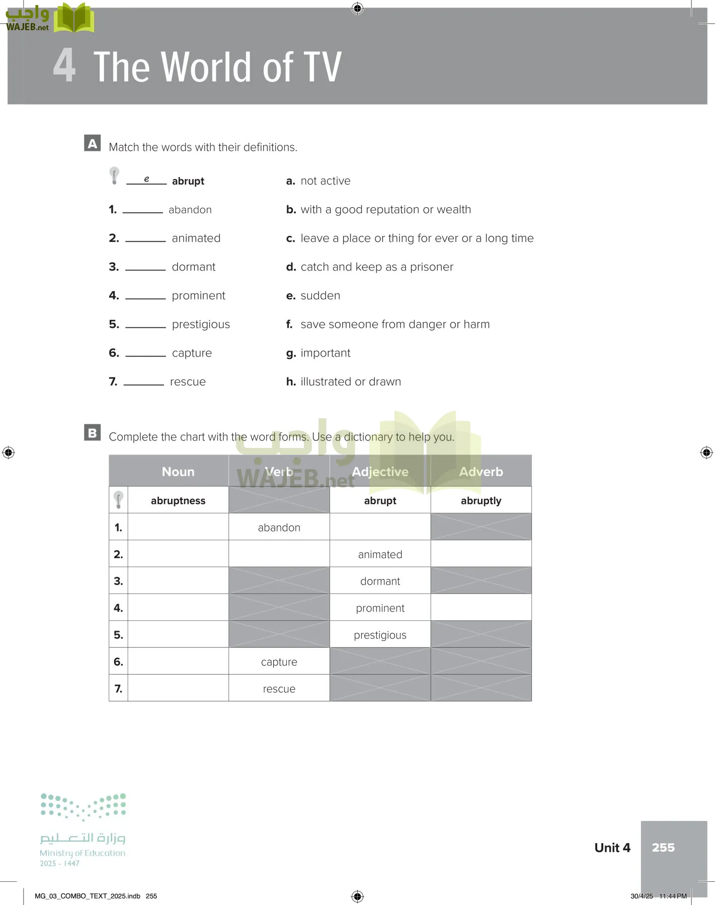 MEGA GOAL 3 page-260