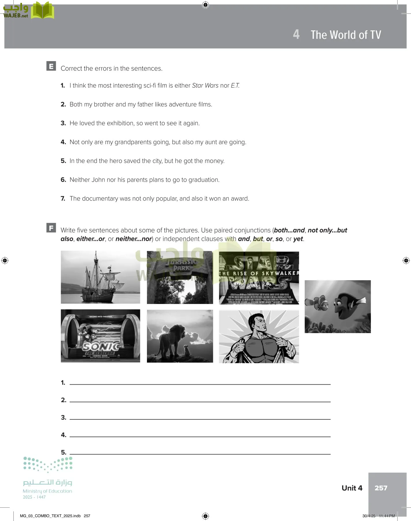 MEGA GOAL 3 page-262