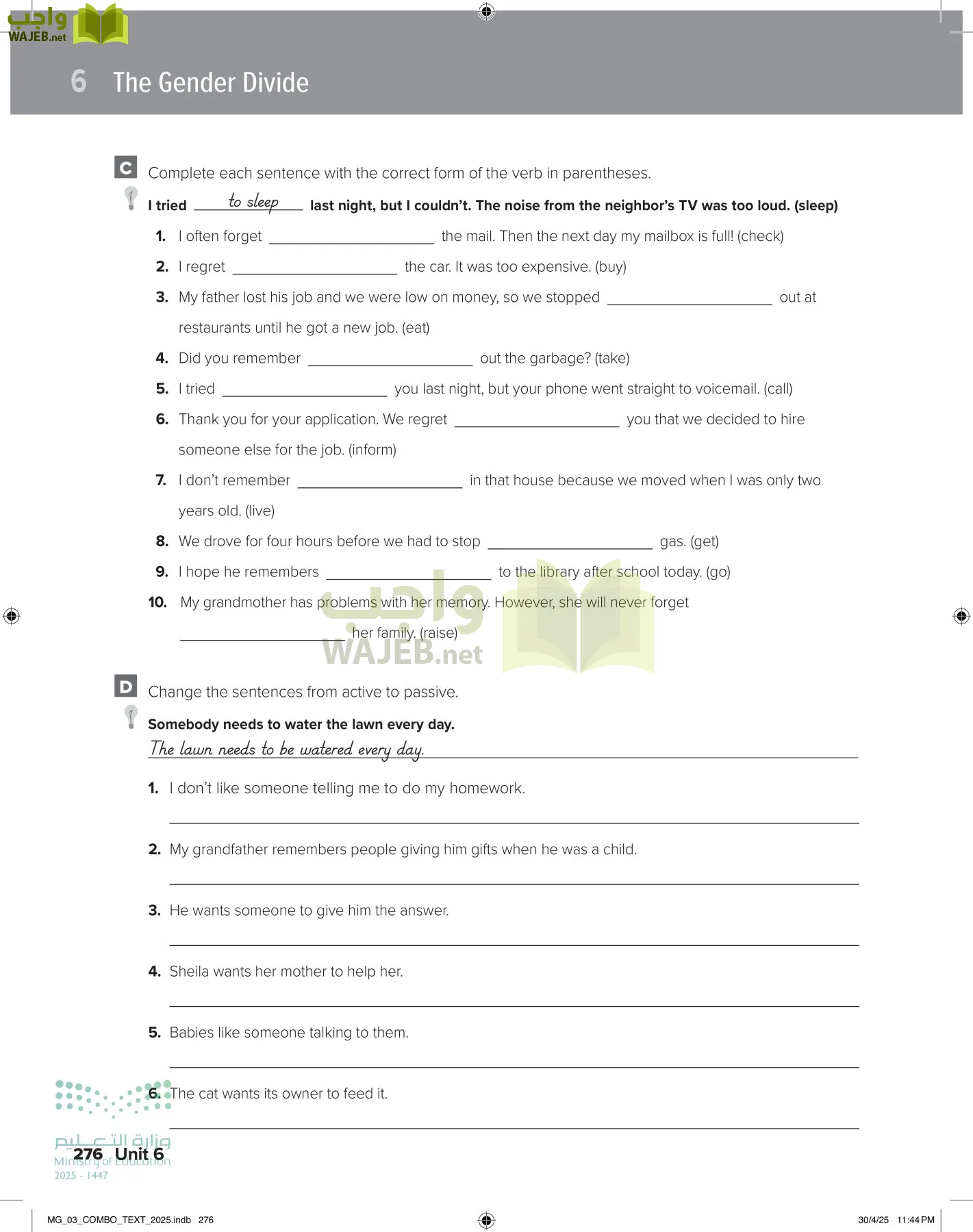 MEGA GOAL 3 page-281