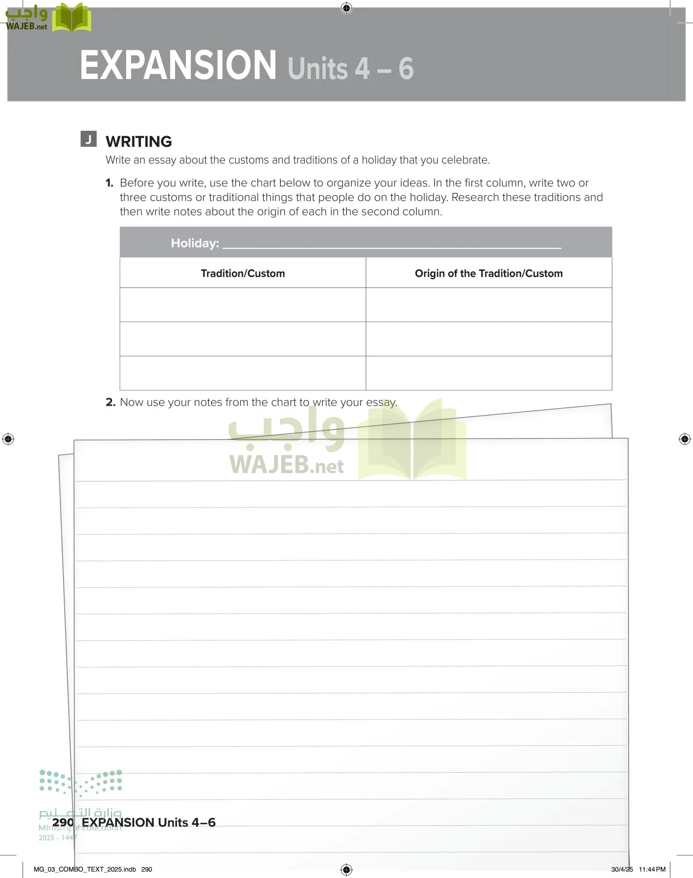 MEGA GOAL 3 page-295