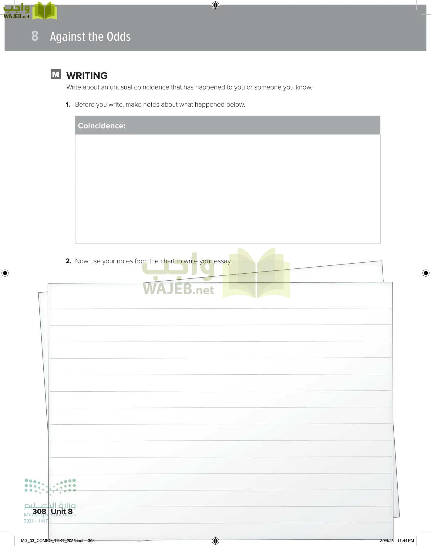 MEGA GOAL 3 page-313