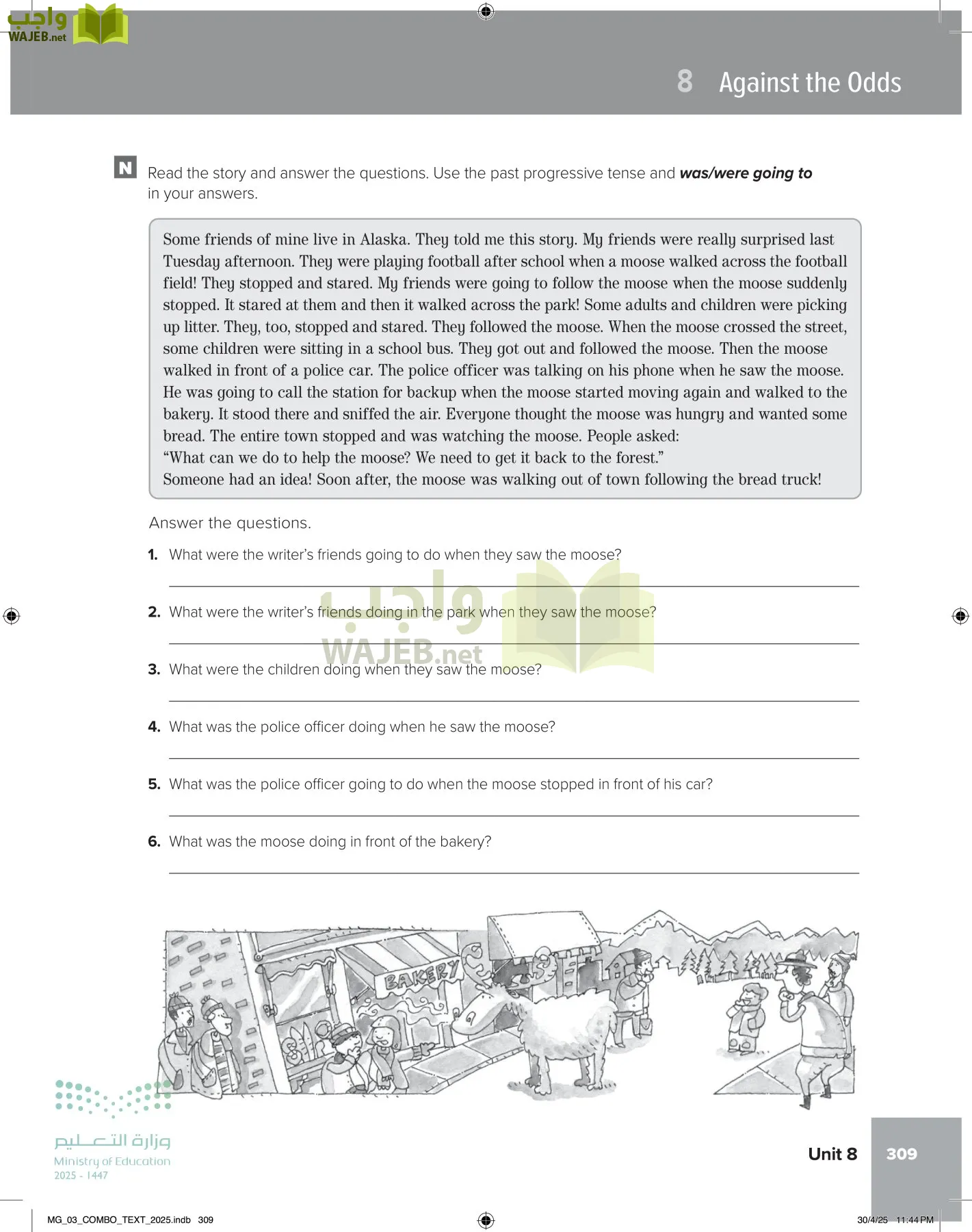 MEGA GOAL 3 page-314