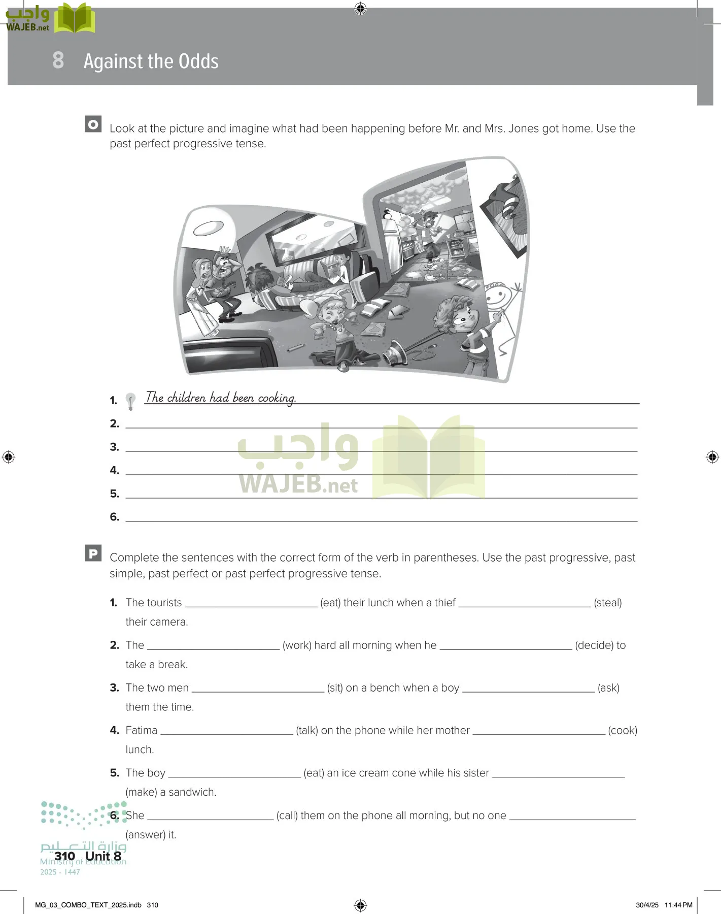 MEGA GOAL 3 page-315