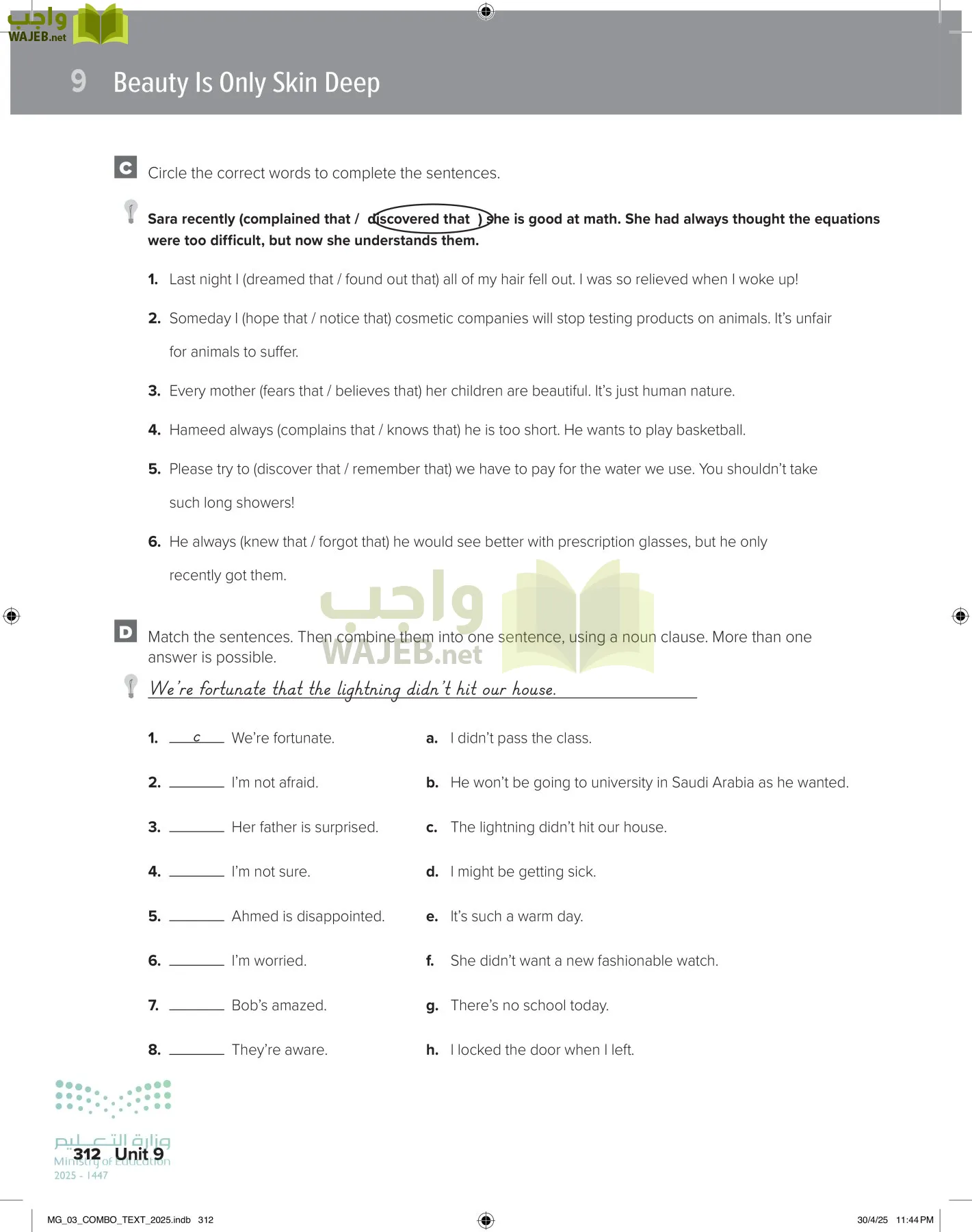 MEGA GOAL 3 page-317