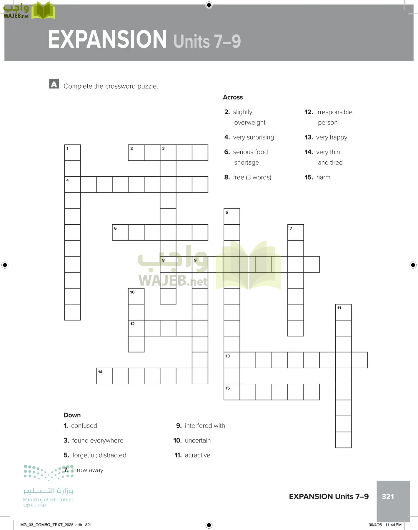 MEGA GOAL 3 page-326