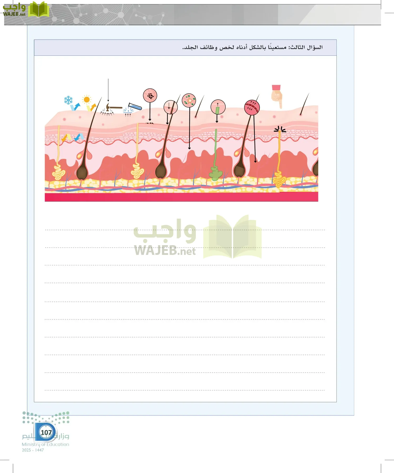 أنظمة جسم الإنسان page-106