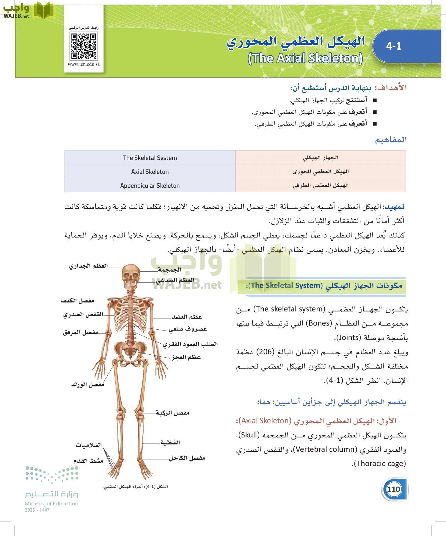 أنظمة جسم الإنسان page-109
