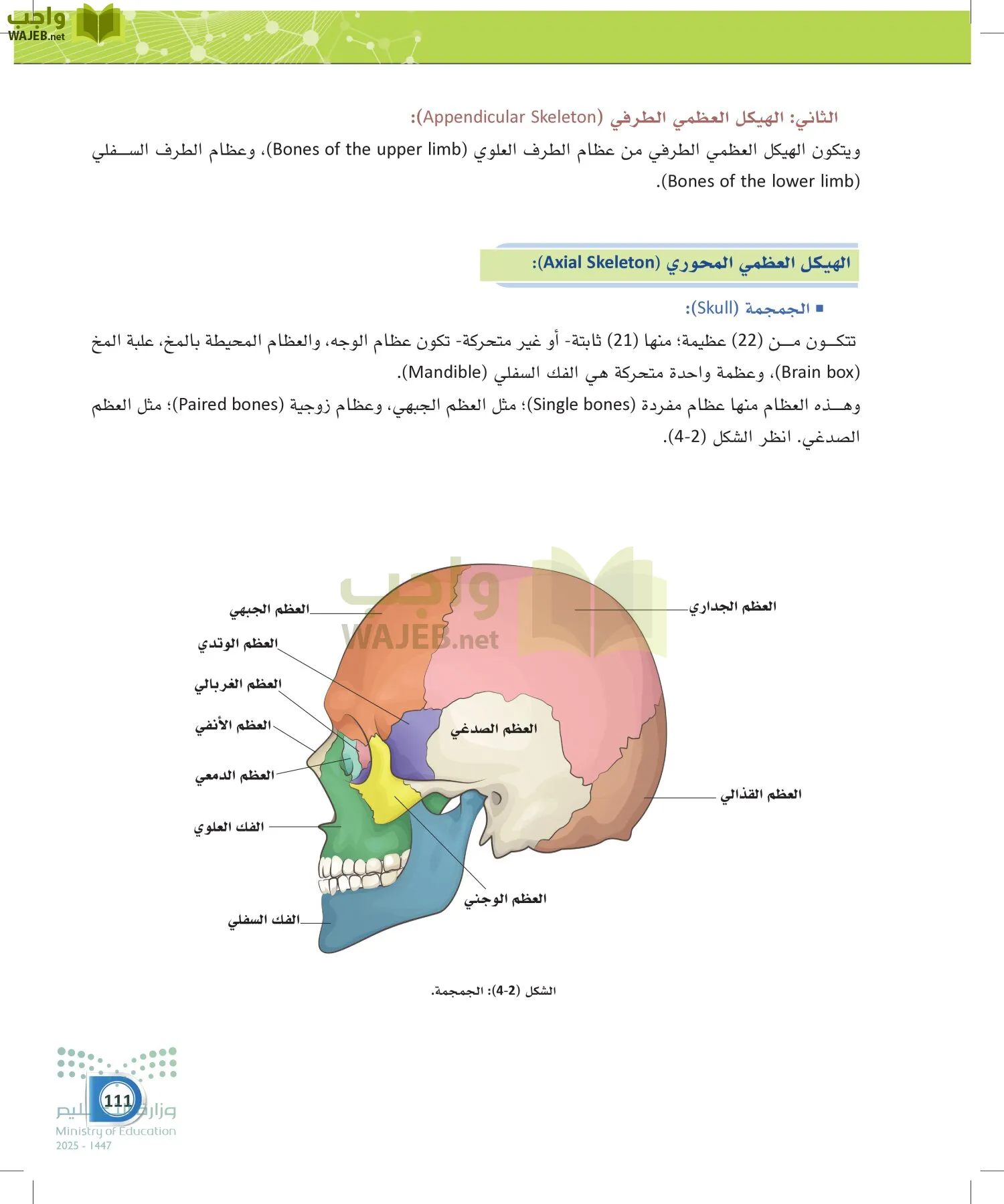 أنظمة جسم الإنسان page-110