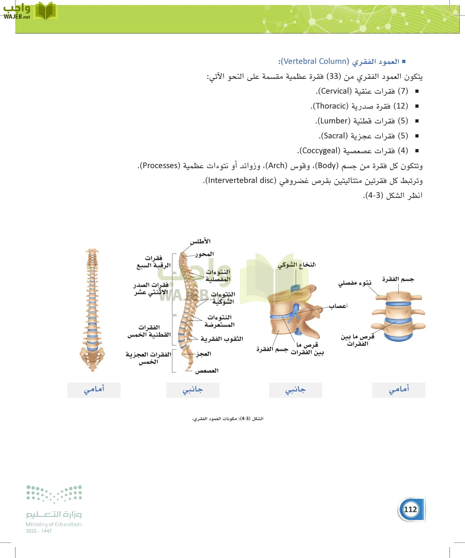 أنظمة جسم الإنسان page-111