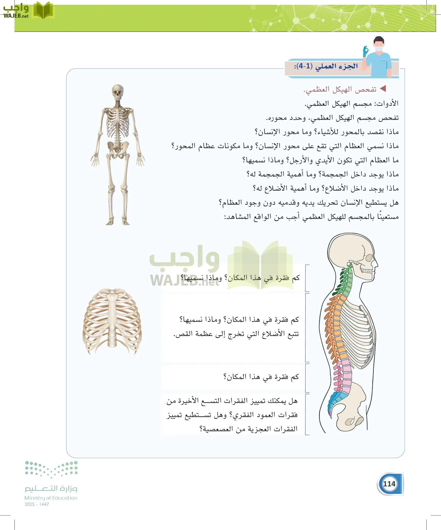 أنظمة جسم الإنسان page-113