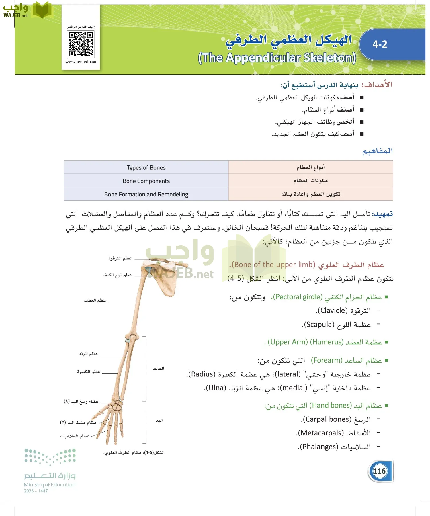 أنظمة جسم الإنسان page-115