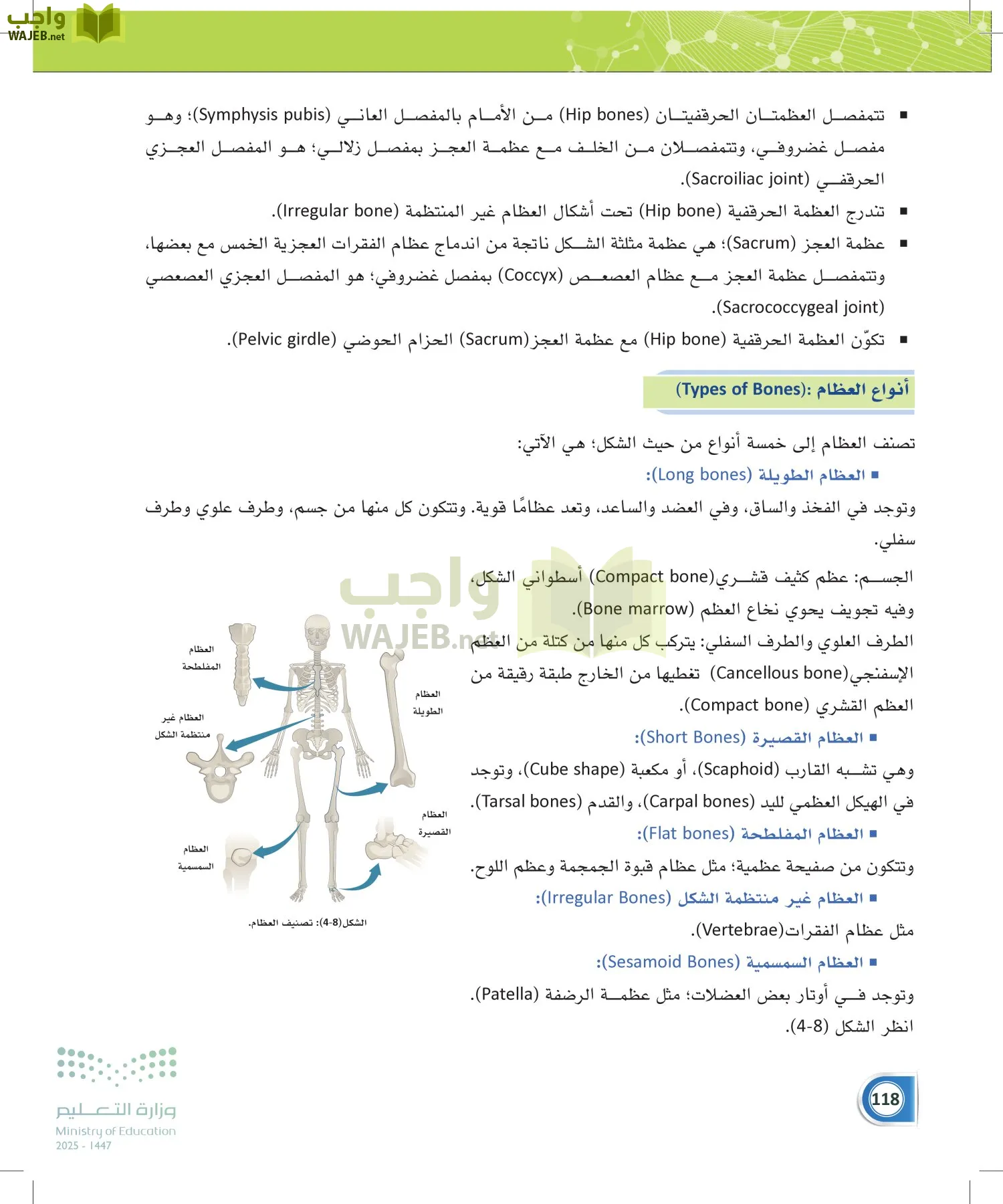 أنظمة جسم الإنسان page-117