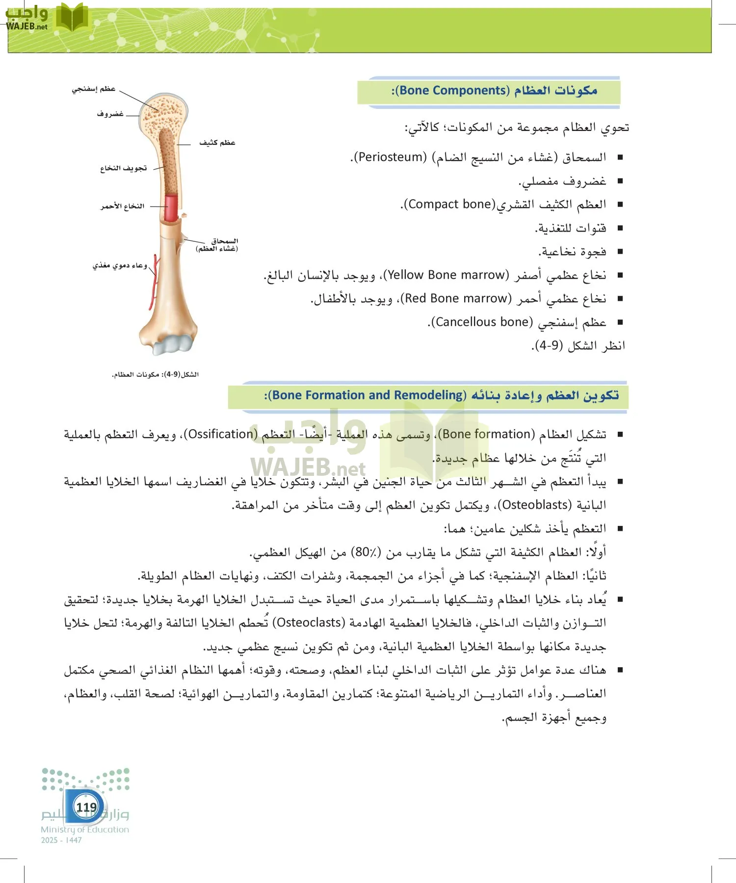 أنظمة جسم الإنسان page-118