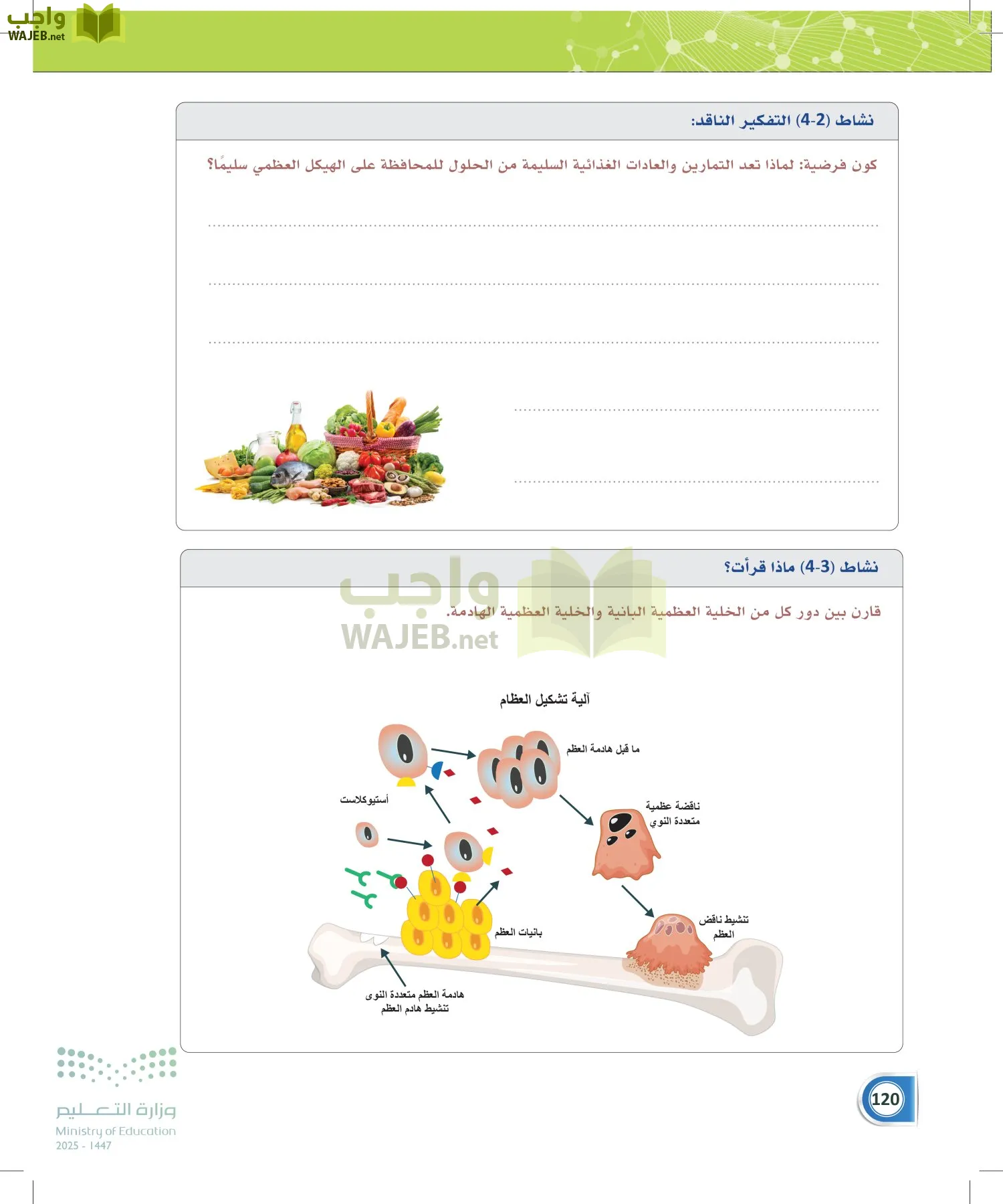 أنظمة جسم الإنسان page-119
