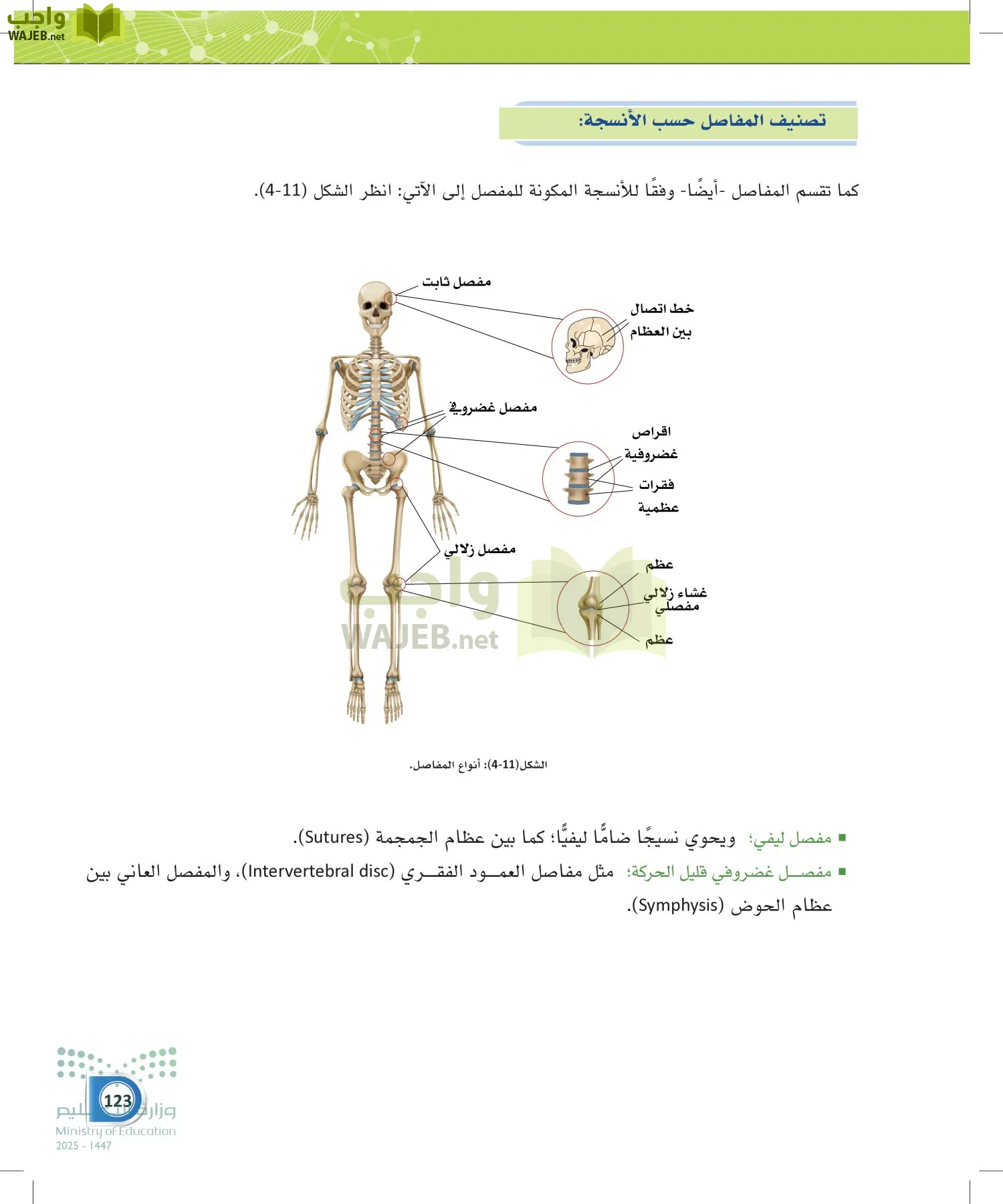 أنظمة جسم الإنسان page-122