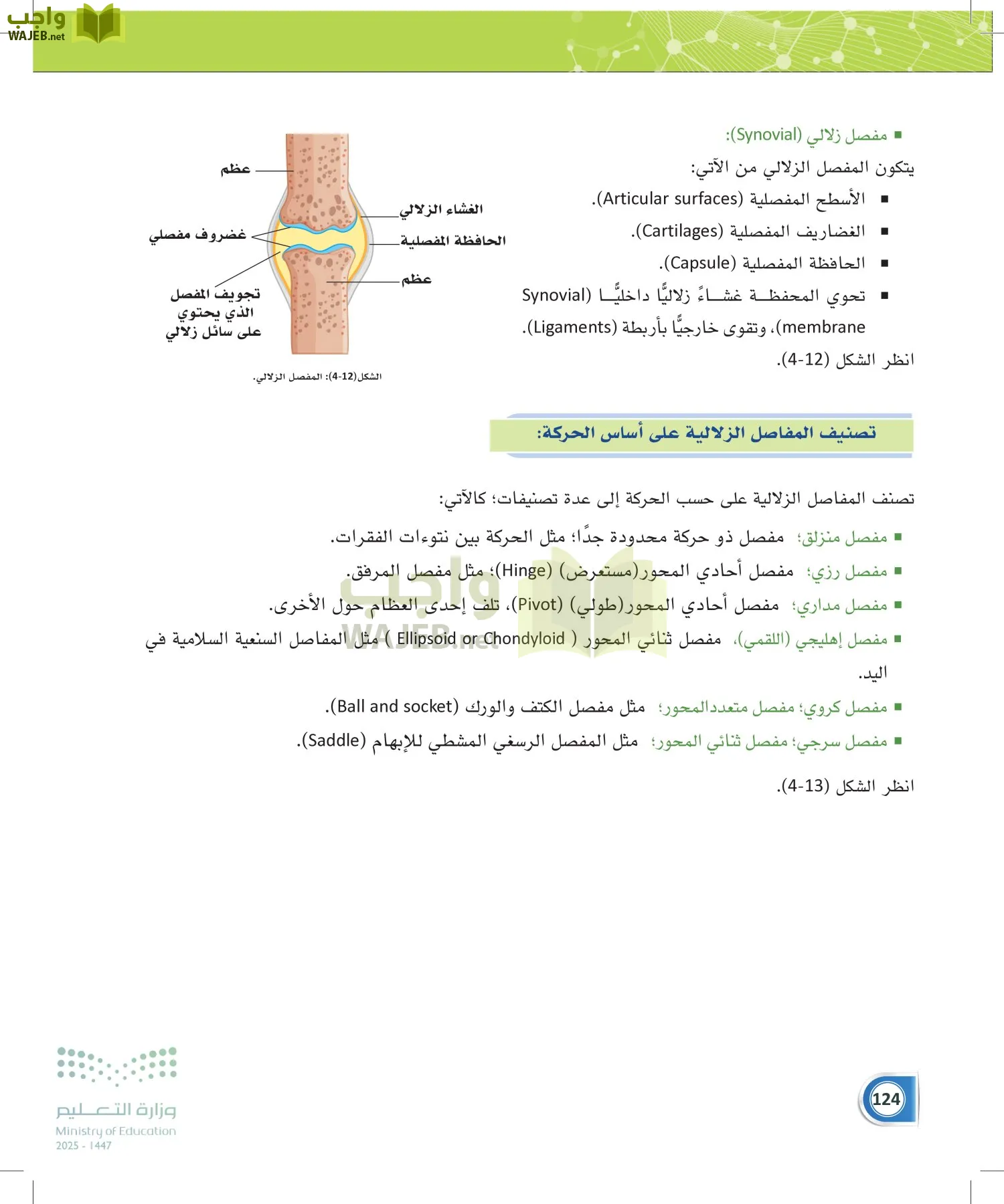 أنظمة جسم الإنسان page-123