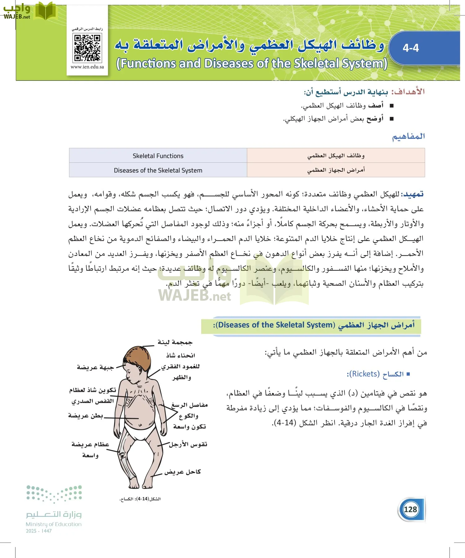 أنظمة جسم الإنسان page-127