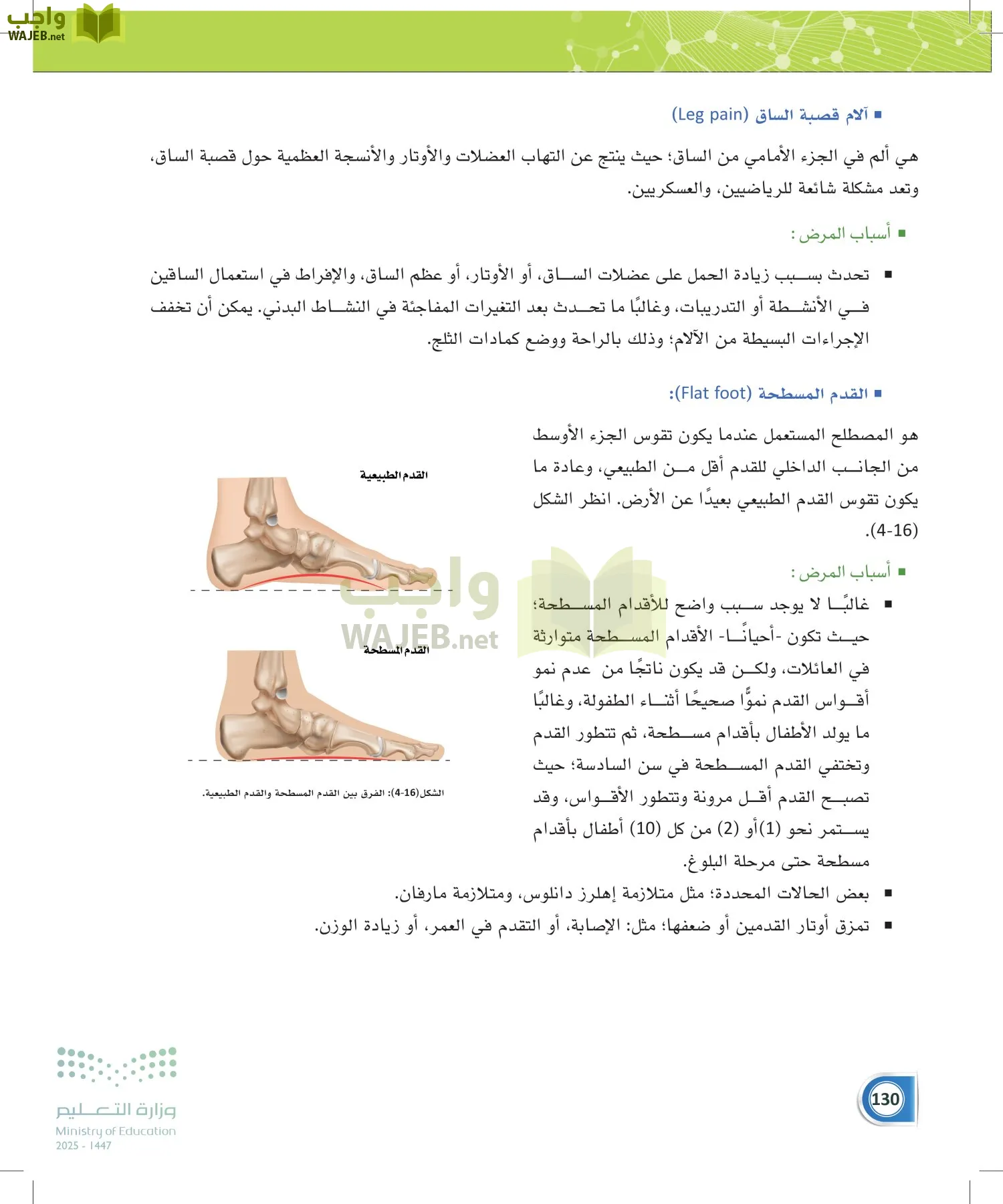 أنظمة جسم الإنسان page-129