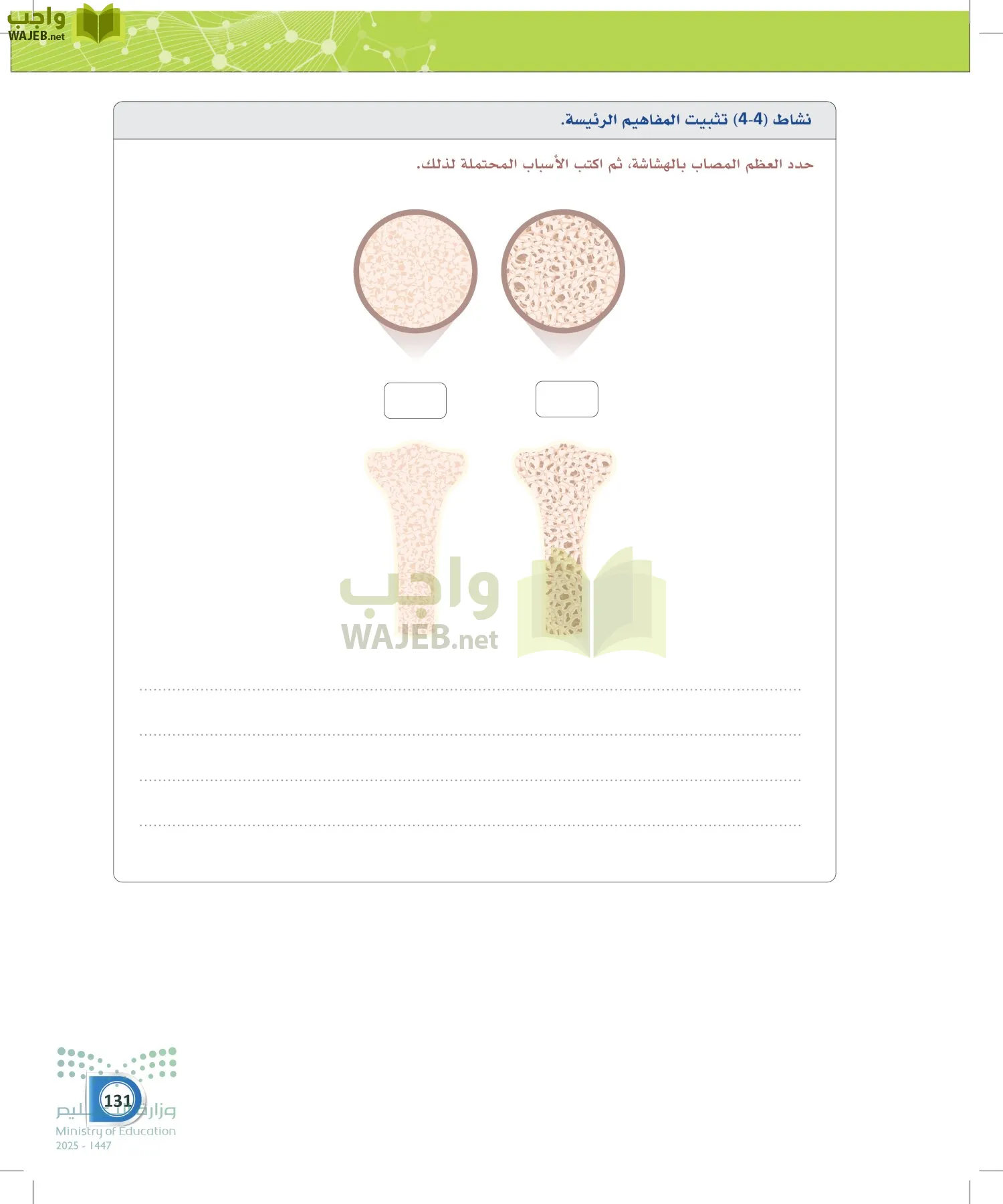 أنظمة جسم الإنسان page-130