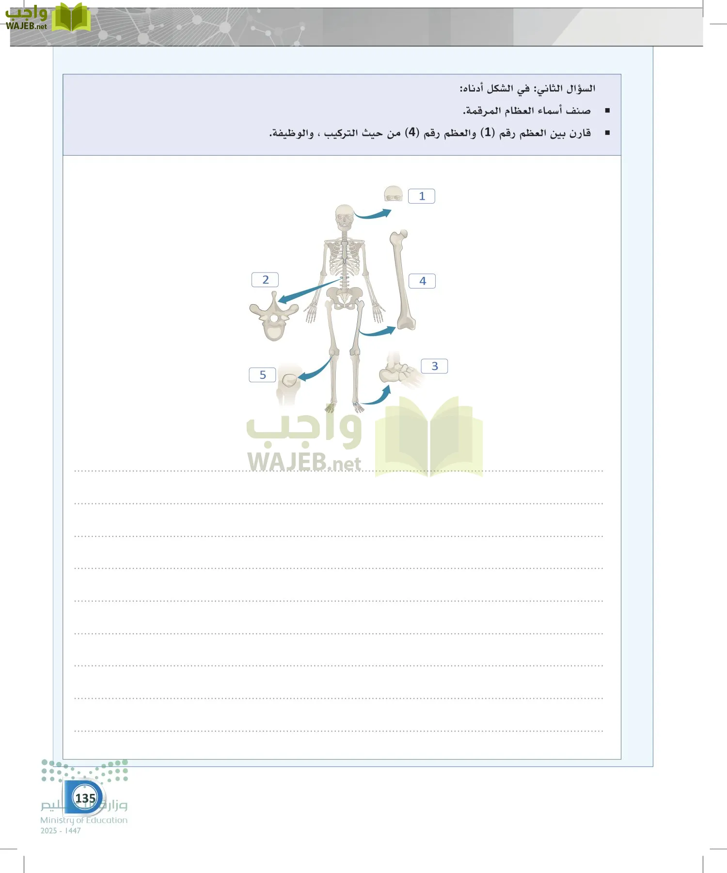 أنظمة جسم الإنسان page-134