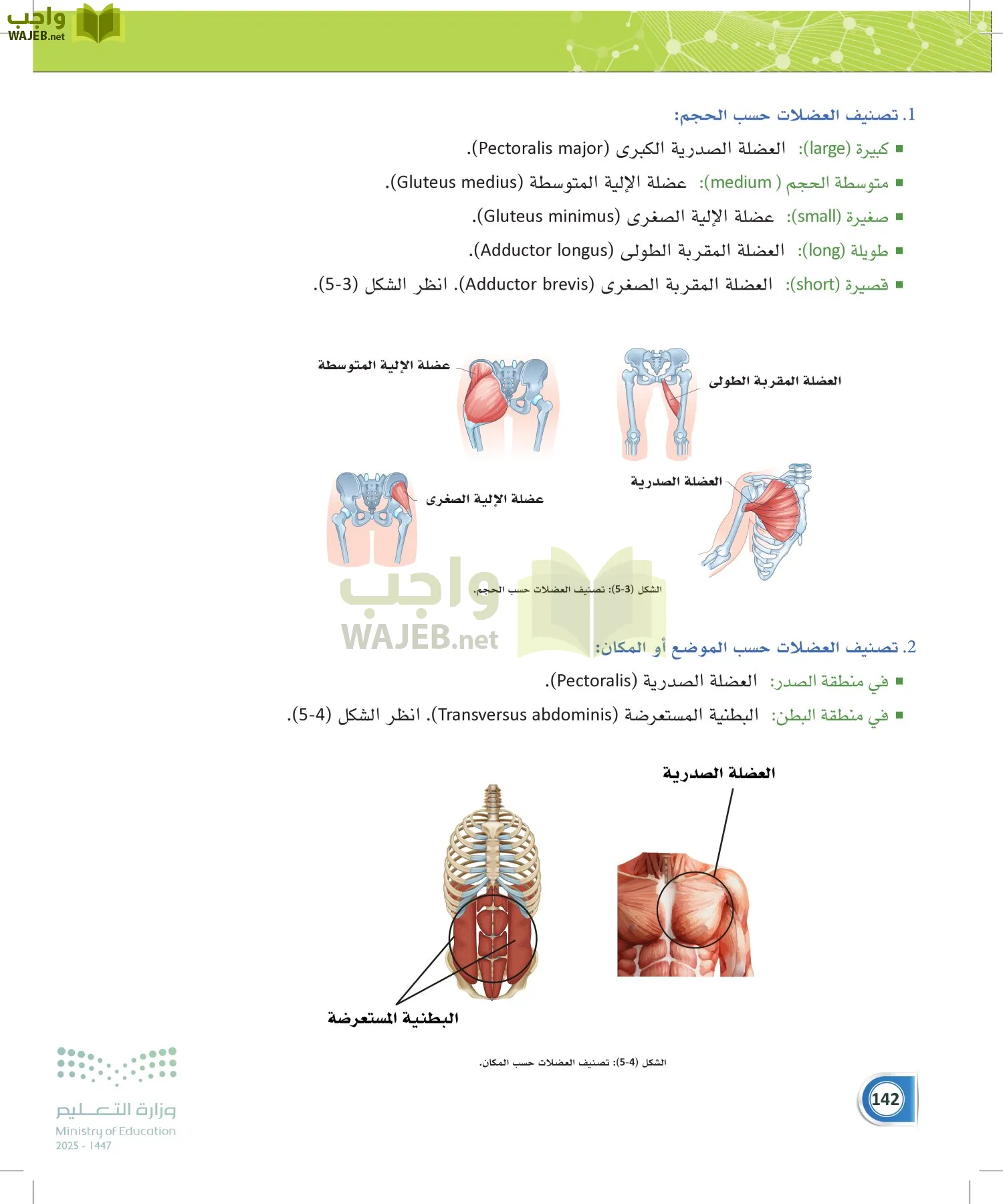 أنظمة جسم الإنسان page-141