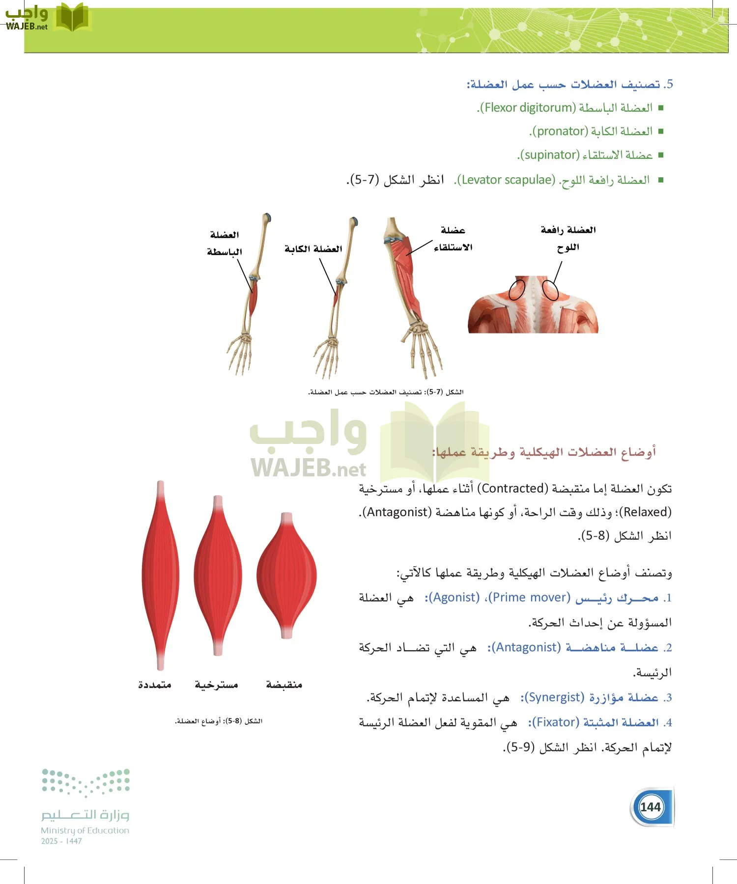 أنظمة جسم الإنسان page-143