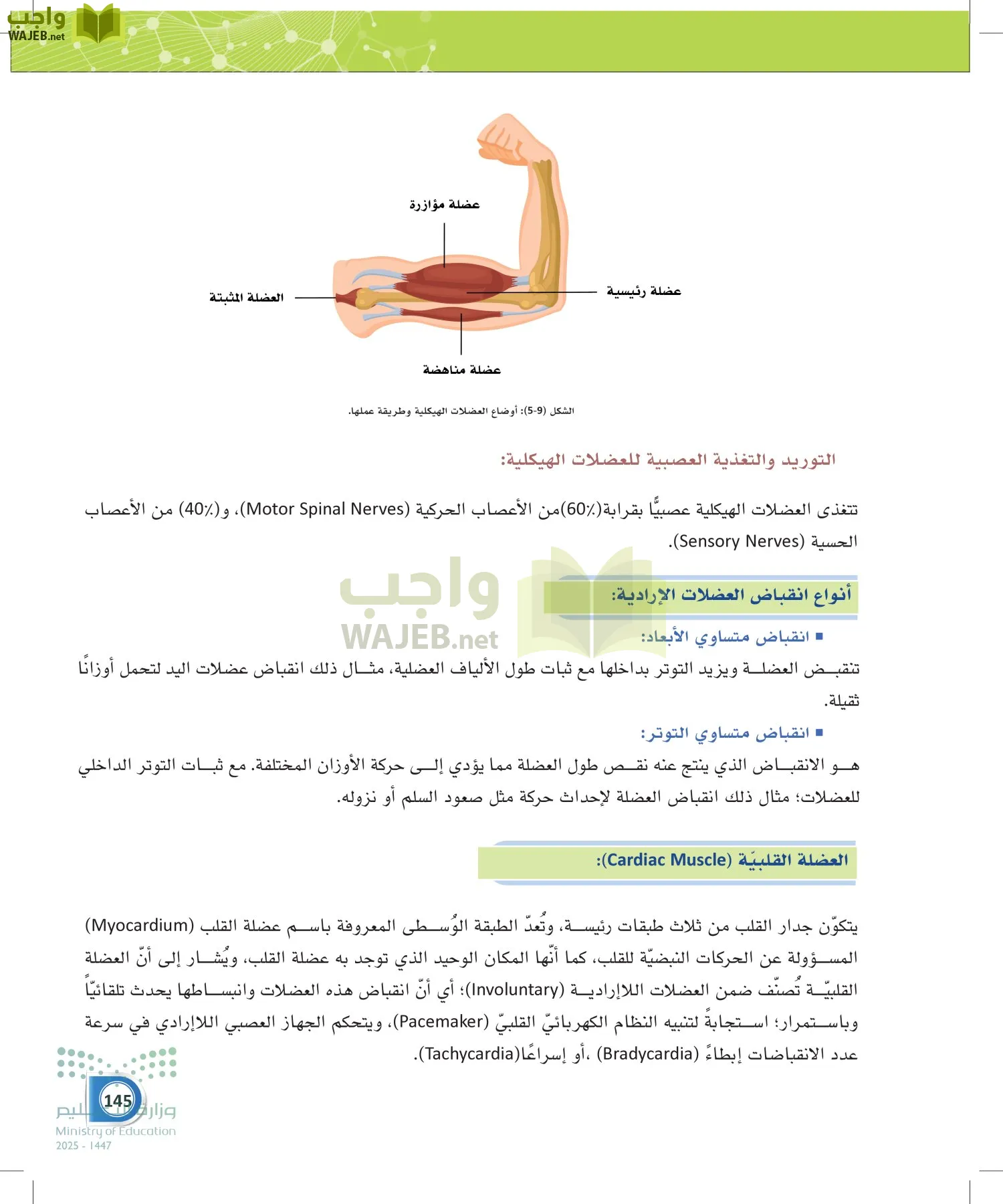 أنظمة جسم الإنسان page-144