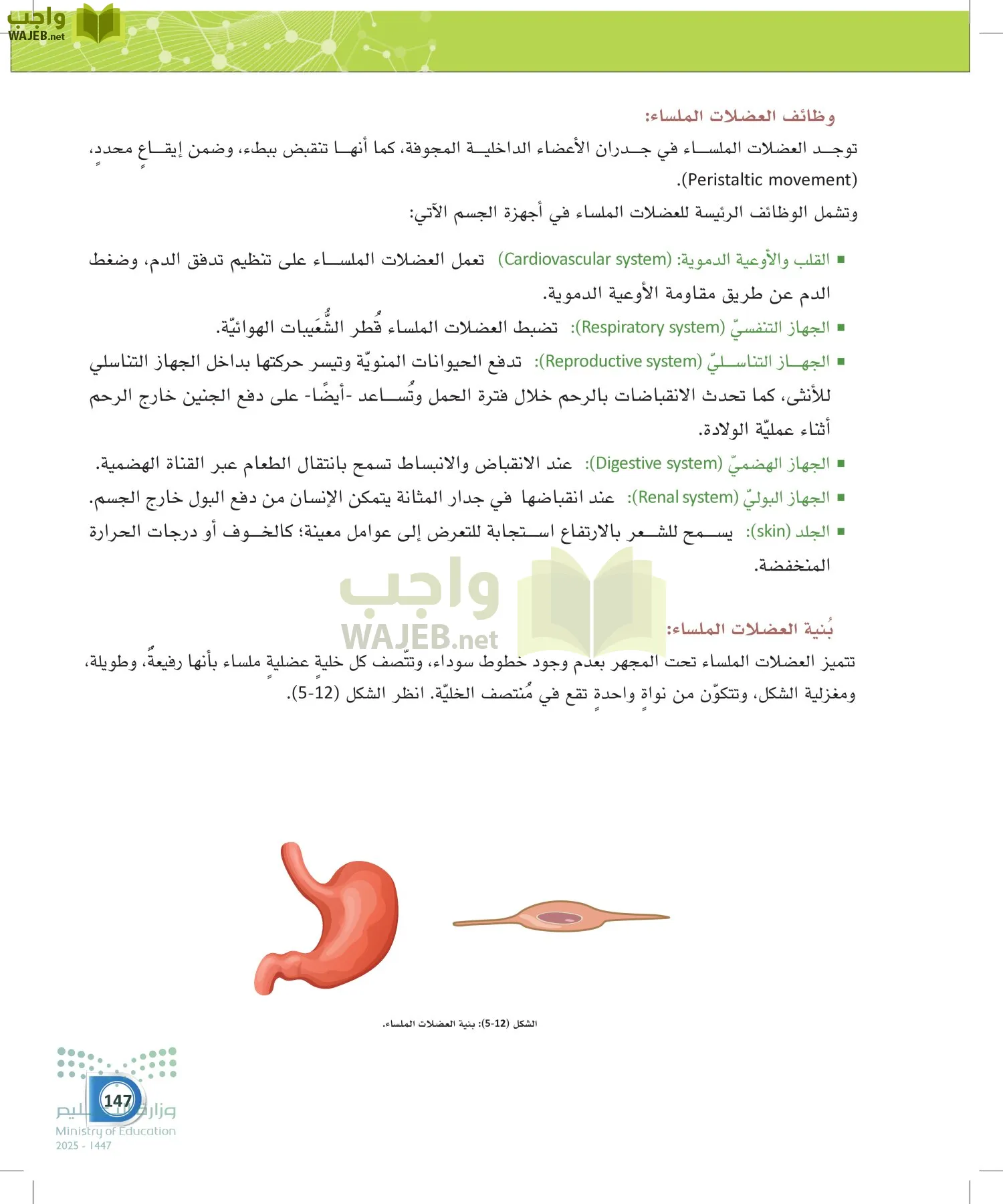 أنظمة جسم الإنسان page-146